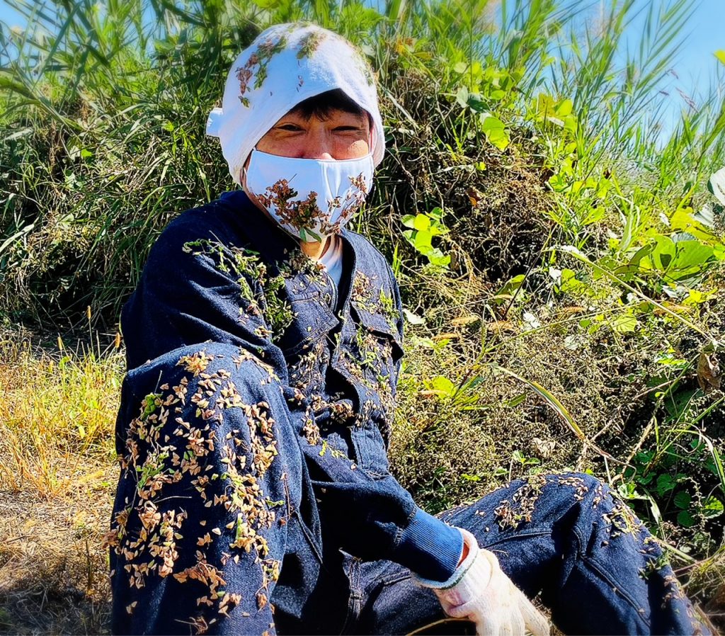 ひっつき虫の取り方完全攻略！服や犬から一瞬で落とす驚きの裏ワザ検証