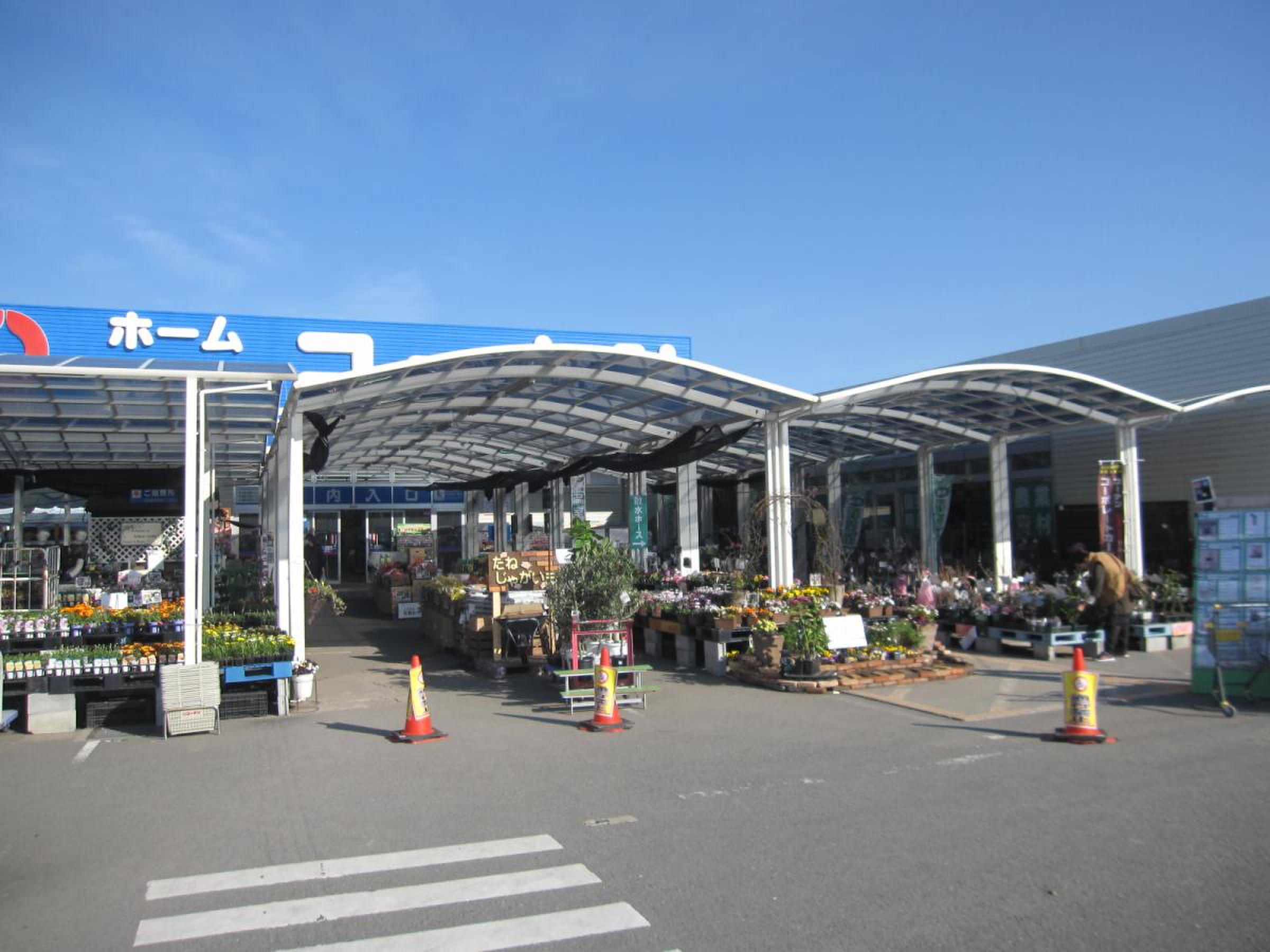 コーナン徳島小松島店のチラシ・営業時間と意外な神サービス徹底解説