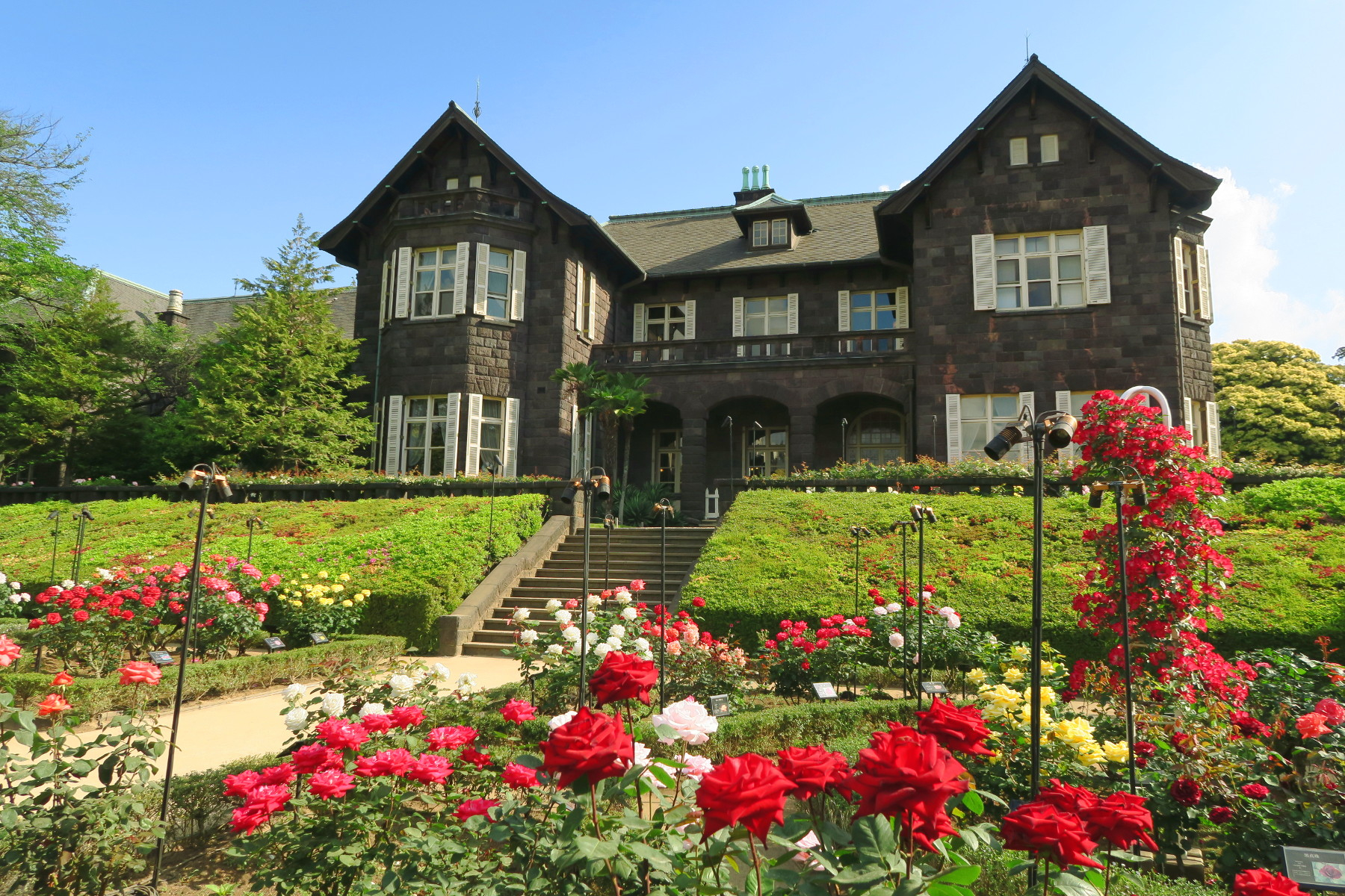 旧古河庭園の洋館は見学予約なしで入れる？内部公開と喫茶室の全貌