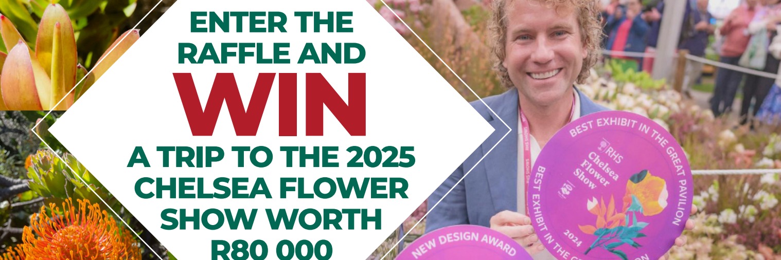 How Much Is a Ticket to Chelsea Flower Show