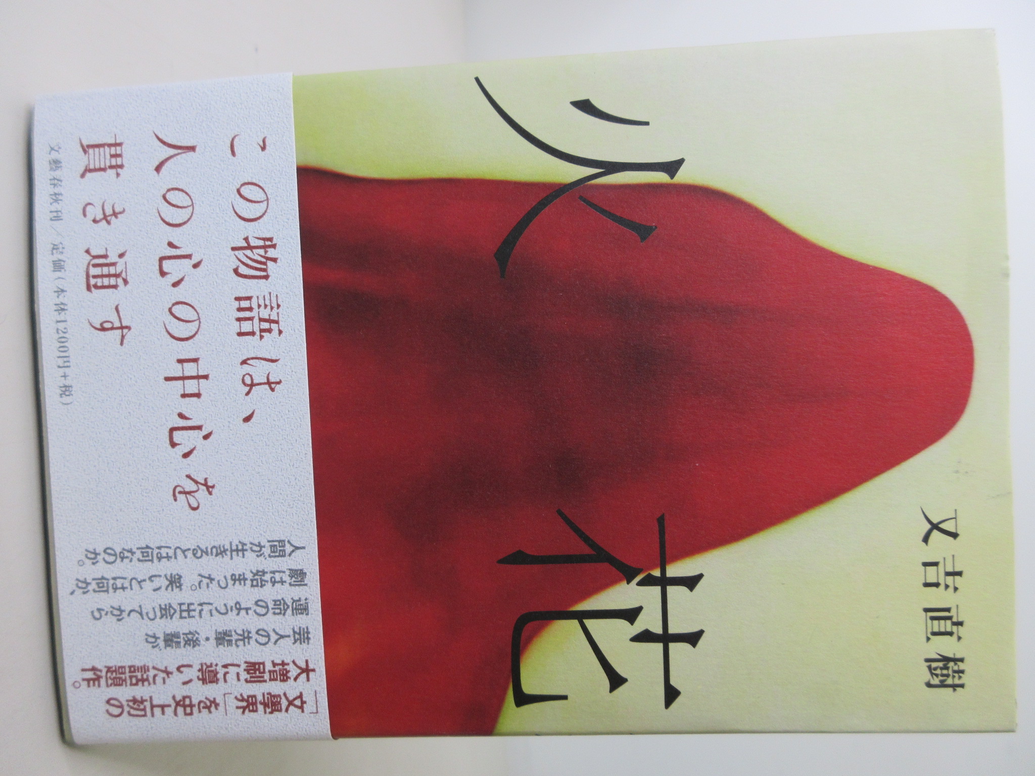 又吉直樹『火花』の値段はいくら？文庫・電子・中古最安値を徹底調査
