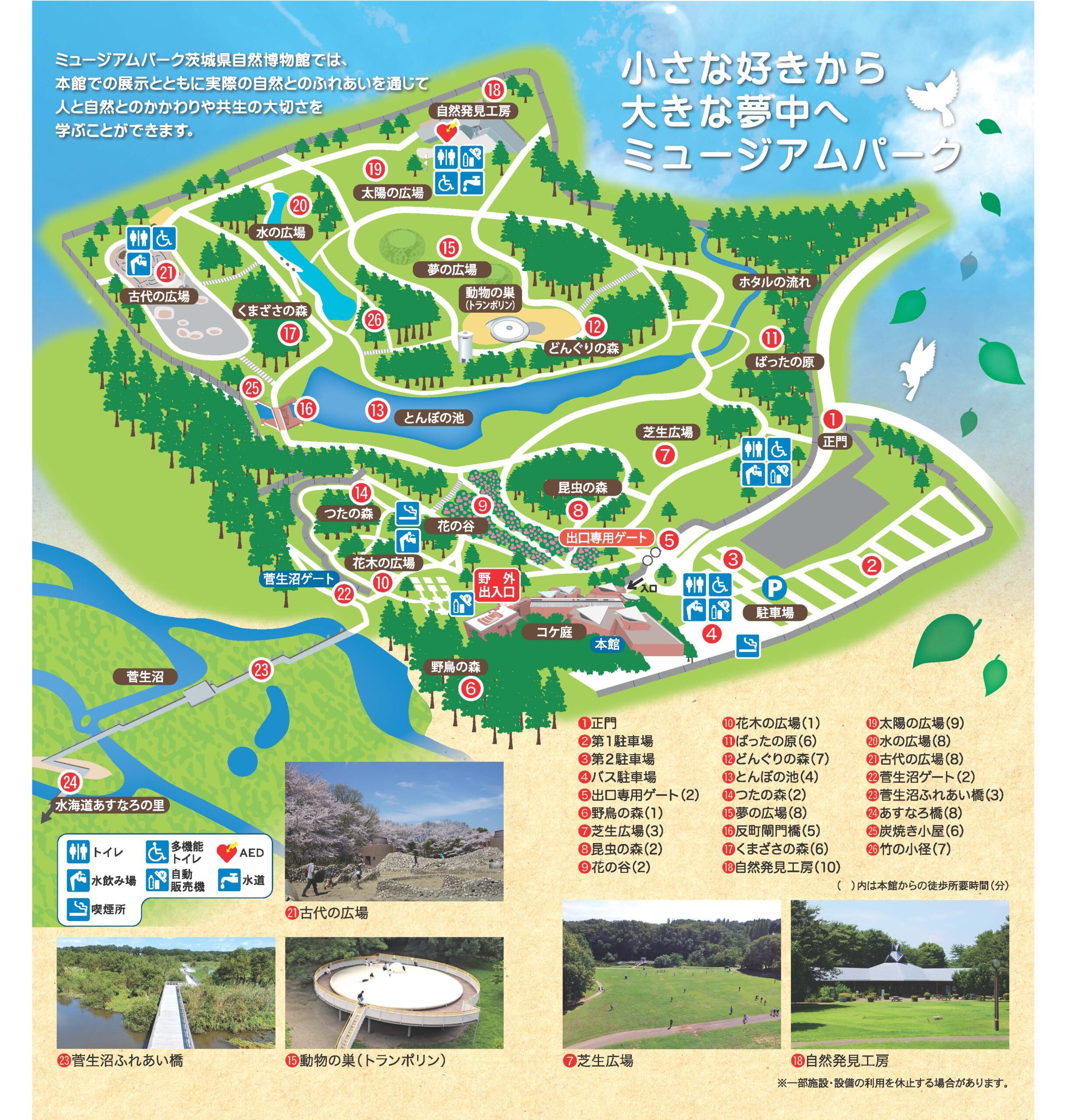 ミュージアムパーク茨城県自然博物館は予約なしNg？混雑回避の裏ワザと恐竜の全貌