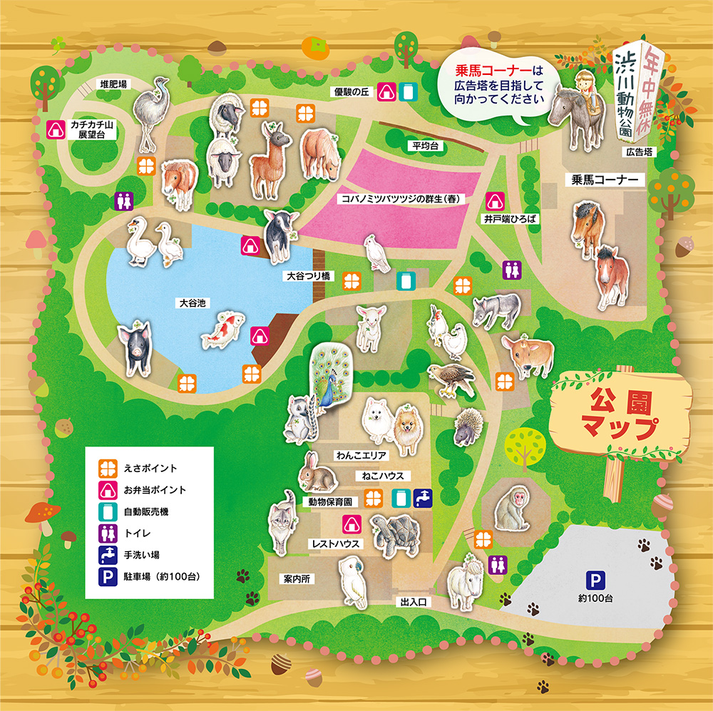 渋川動物公園のリアル！至近距離ふれあいと独自取材で見えた攻略法