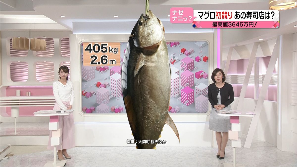 マグロ一匹の値段相場と初競り億超えの真相｜寿司何貫分取れるか徹底解剖