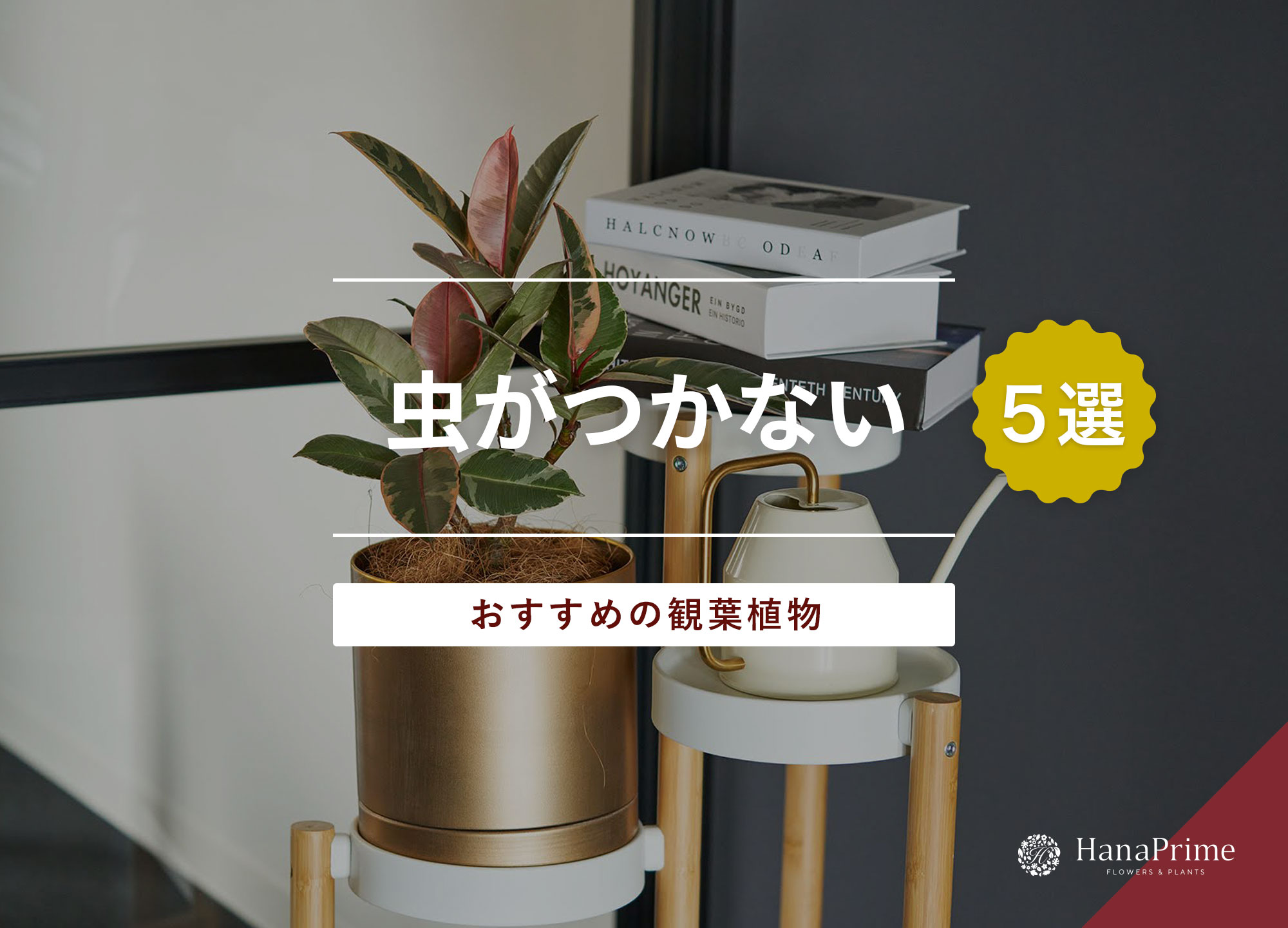 観葉植物で虫がわかない部屋作り！土の選び方とおすすめ品種【2026】
