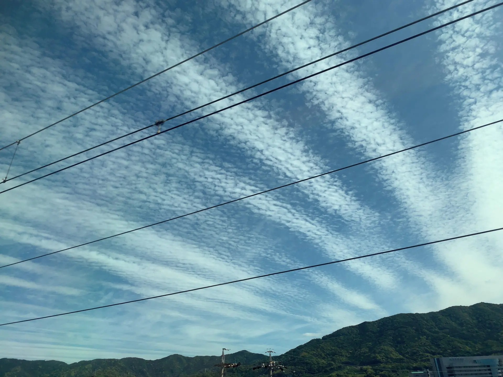 大地震の前兆を見逃すな！最新科学が暴く切迫シグナルと真の備え
