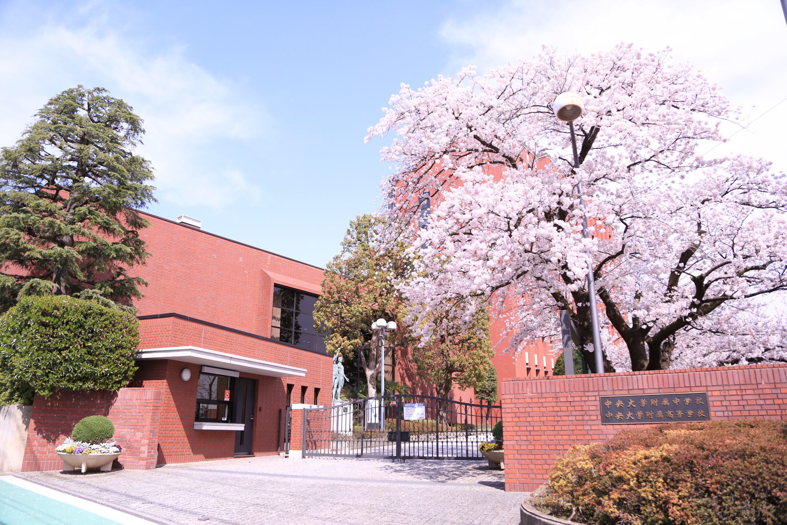 【2026最新】中央大学附属中学校・高等学校の真実！法学部推薦を巡る熾烈な現実