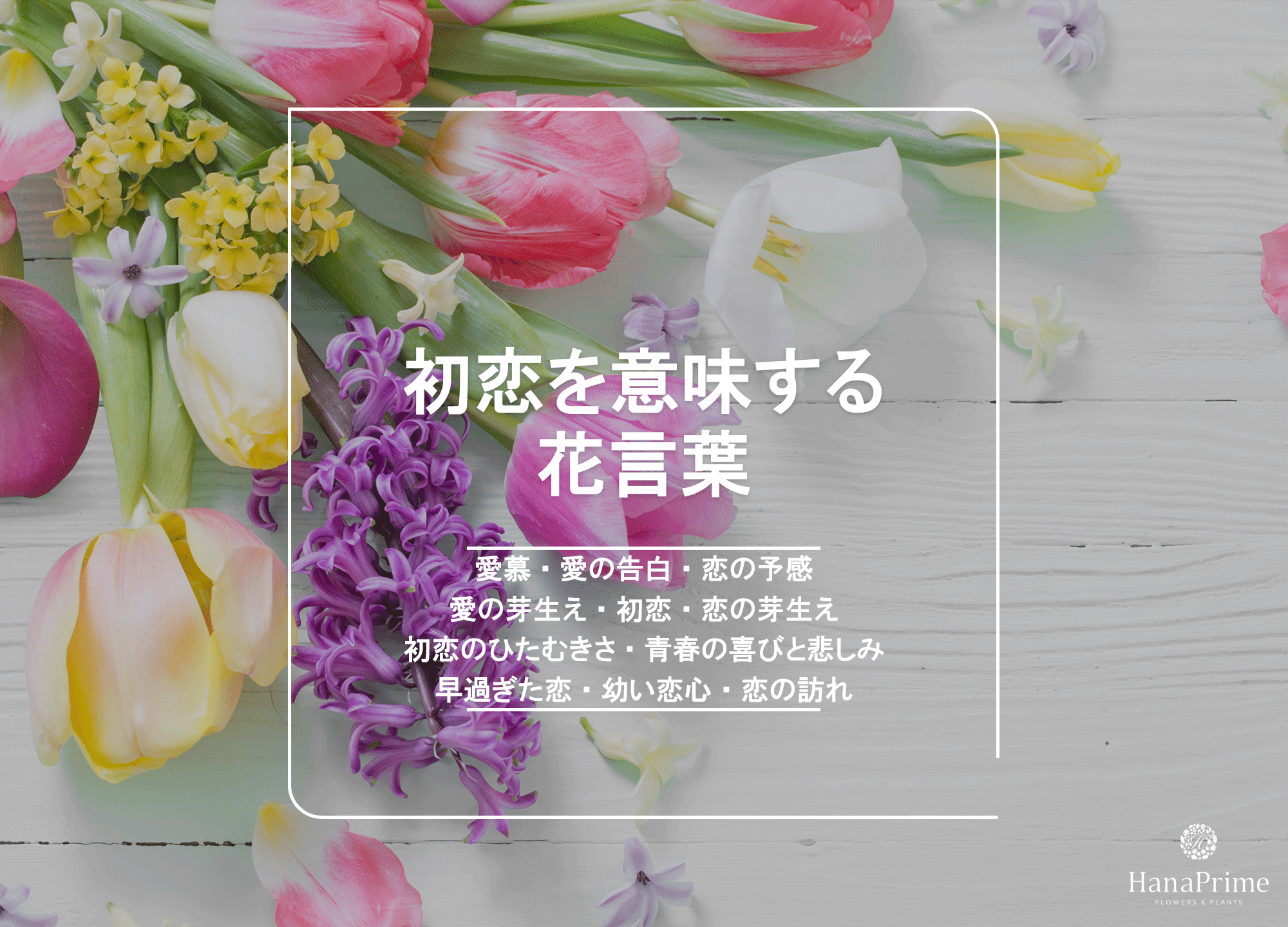 恋の花言葉決定版｜想いが届く名花と贈ると危険な裏の意味を徹底解説