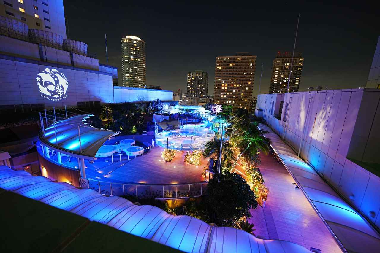 夜の水族館デートが大人を惹きつける理由｜2026年最新の演出と攻略法