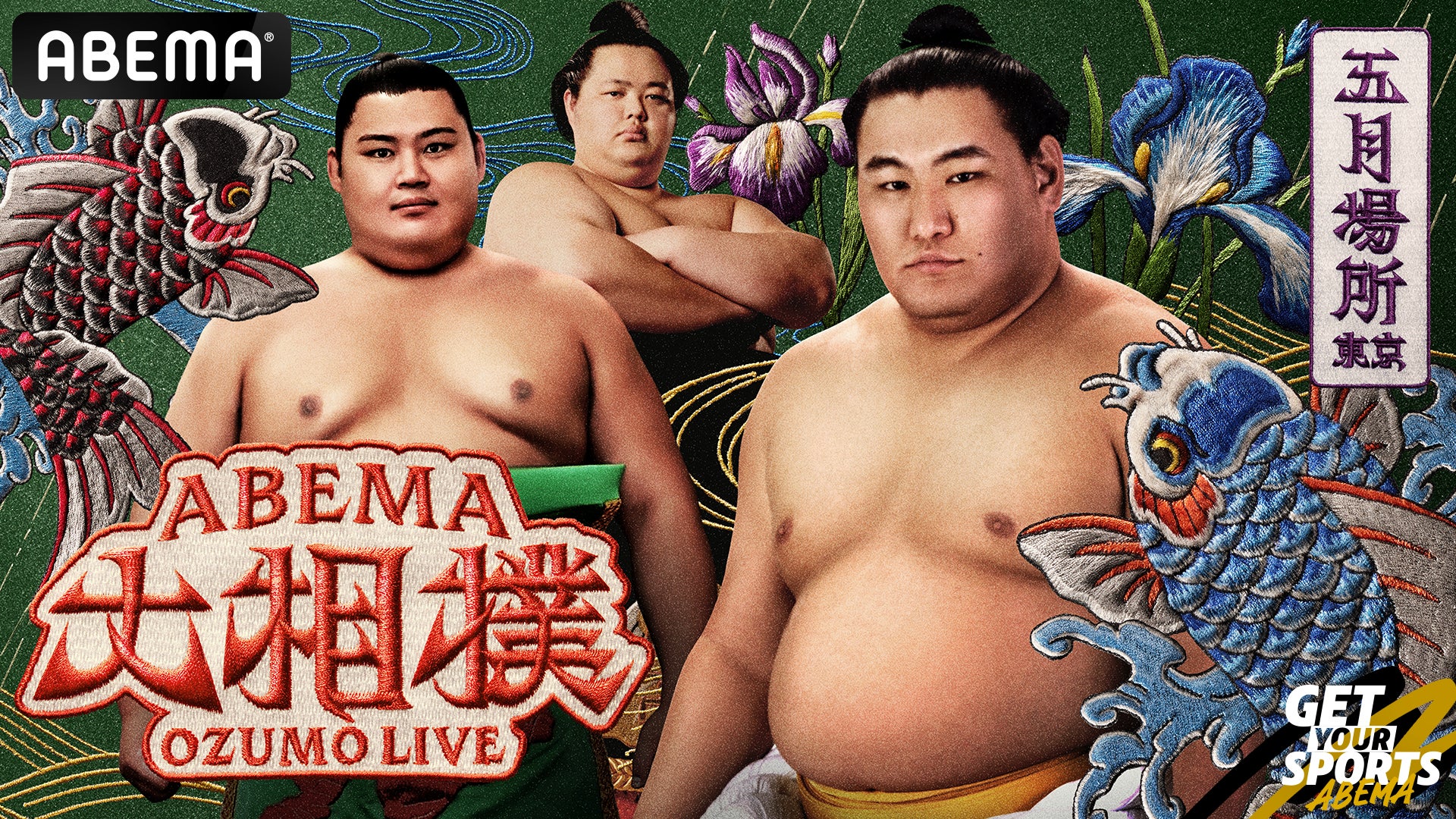 大相撲5月場所2026徹底解剖｜日程・チケット倍率と優勝争いの深層