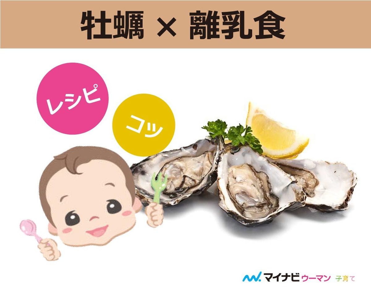 子供の牡蠣は何歳から？生牡蠣・カキフライの推奨年齢と食中毒の真実