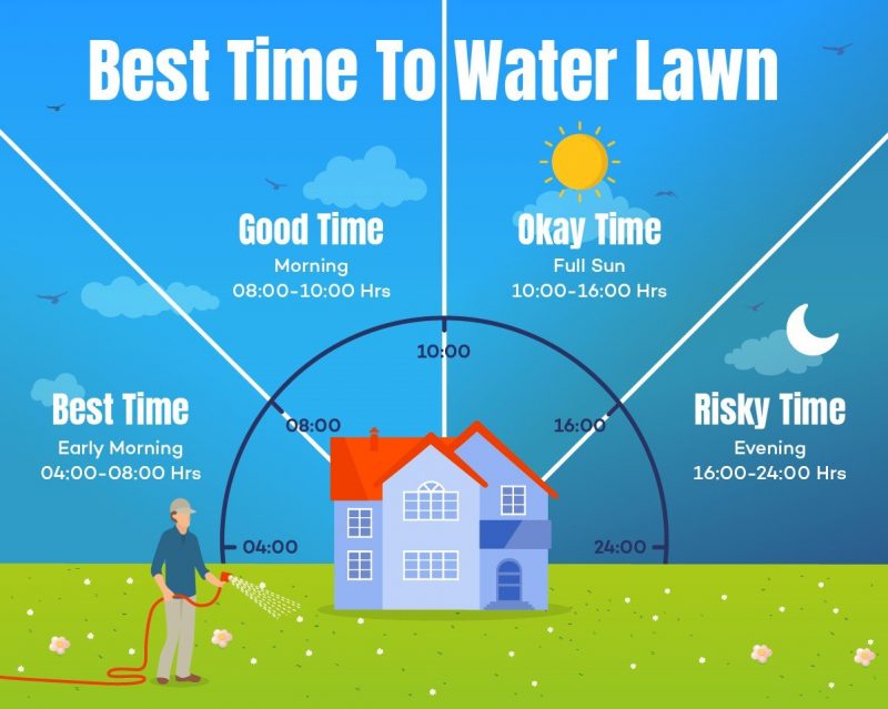 Best Time of Day to Water Grass