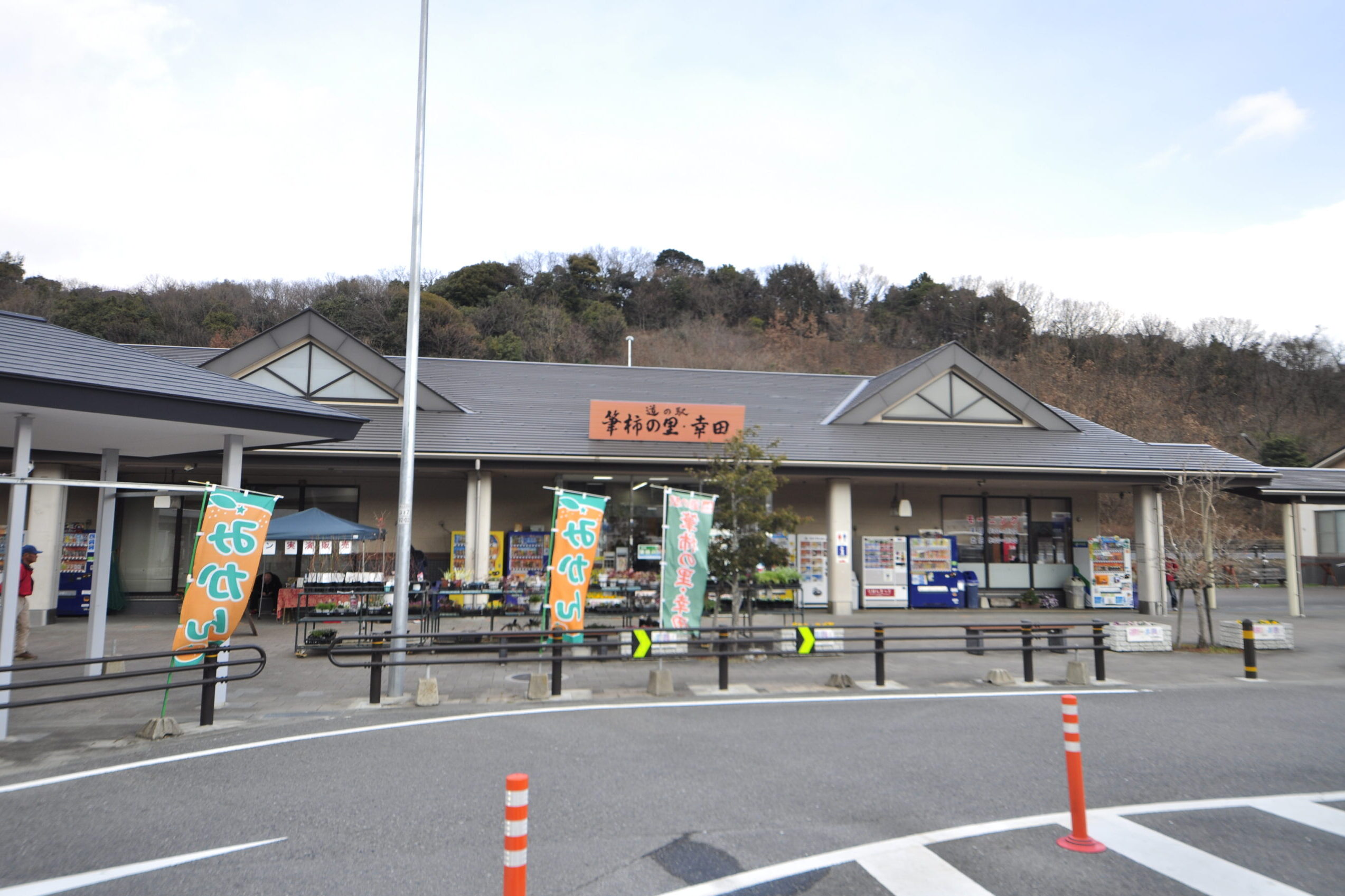 筆柿の里幸田の幻グルメ攻略！直売所入荷の裏ワザと渋滞回避ルート