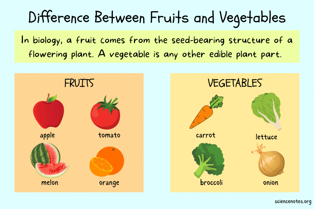 Fruit and Vegetable Difference Between