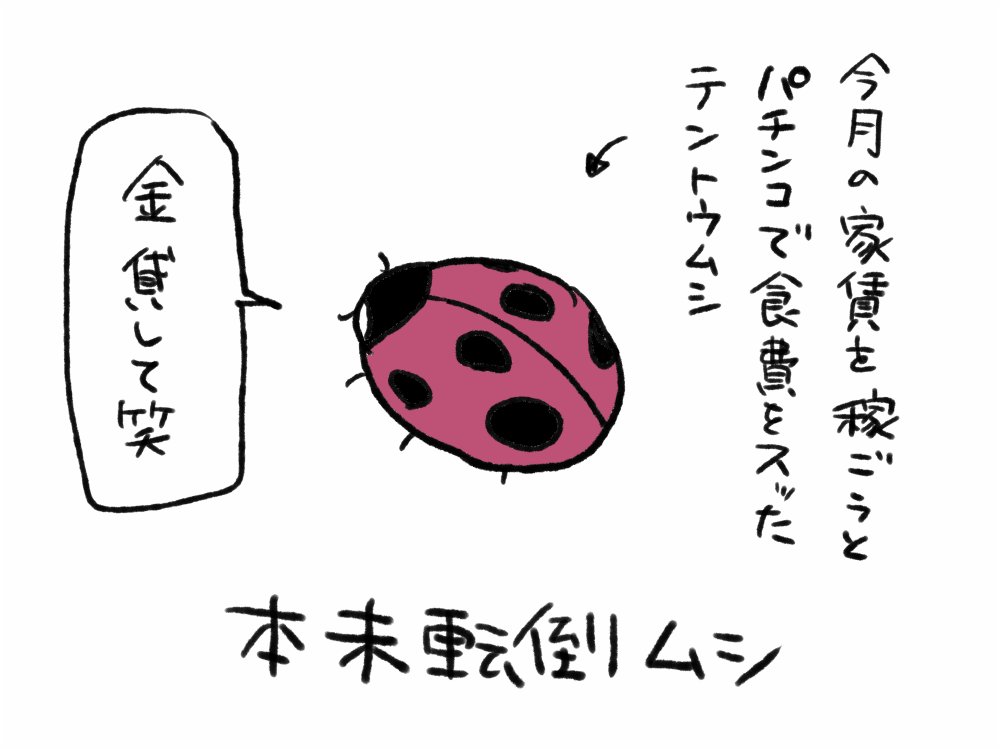 話題の『ほんまつてんとうむし』に新展開！極秘プロジェクトの真相