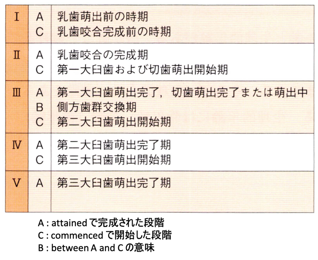 ヘルマンの歯齢一覧と覚え方｜小児矯正の開始時期と国試頻出ポイント