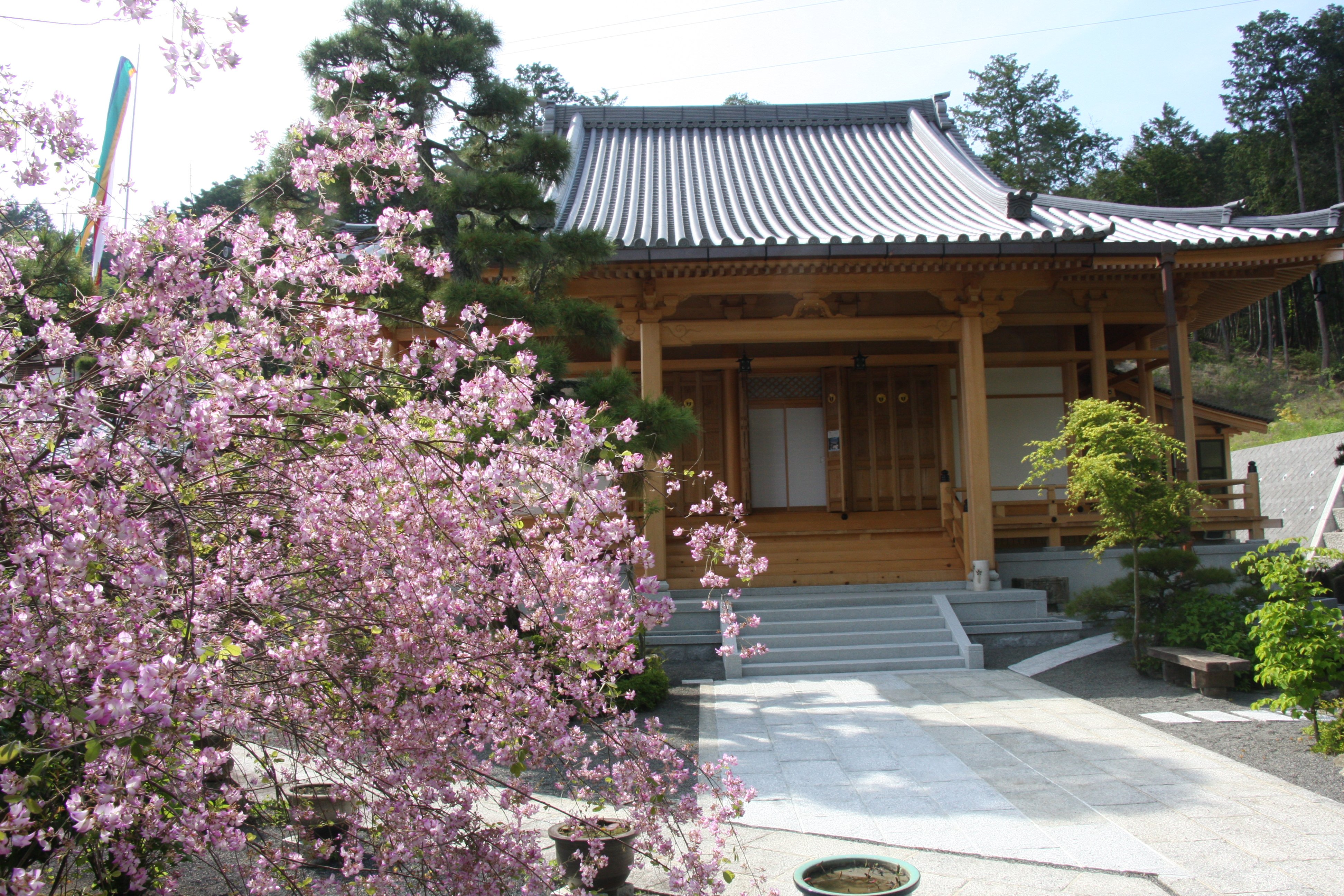 西應寺の歴史と宗派を徹底解説！供養プランや評判の真相