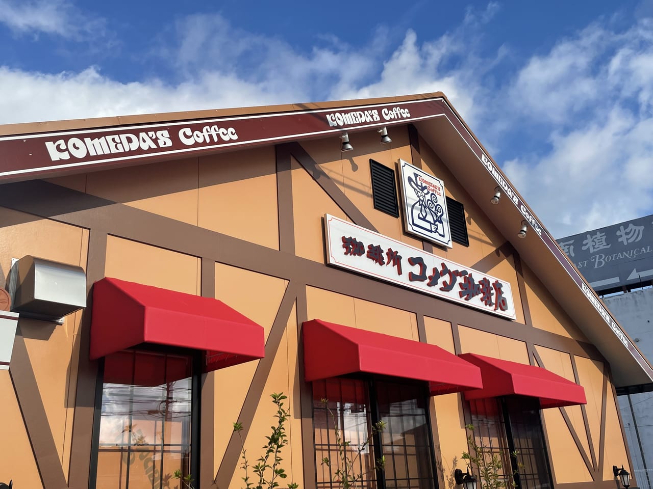 沖縄初陸へ！コメダ珈琲店糸満店の混雑回避術と限定モーニング
