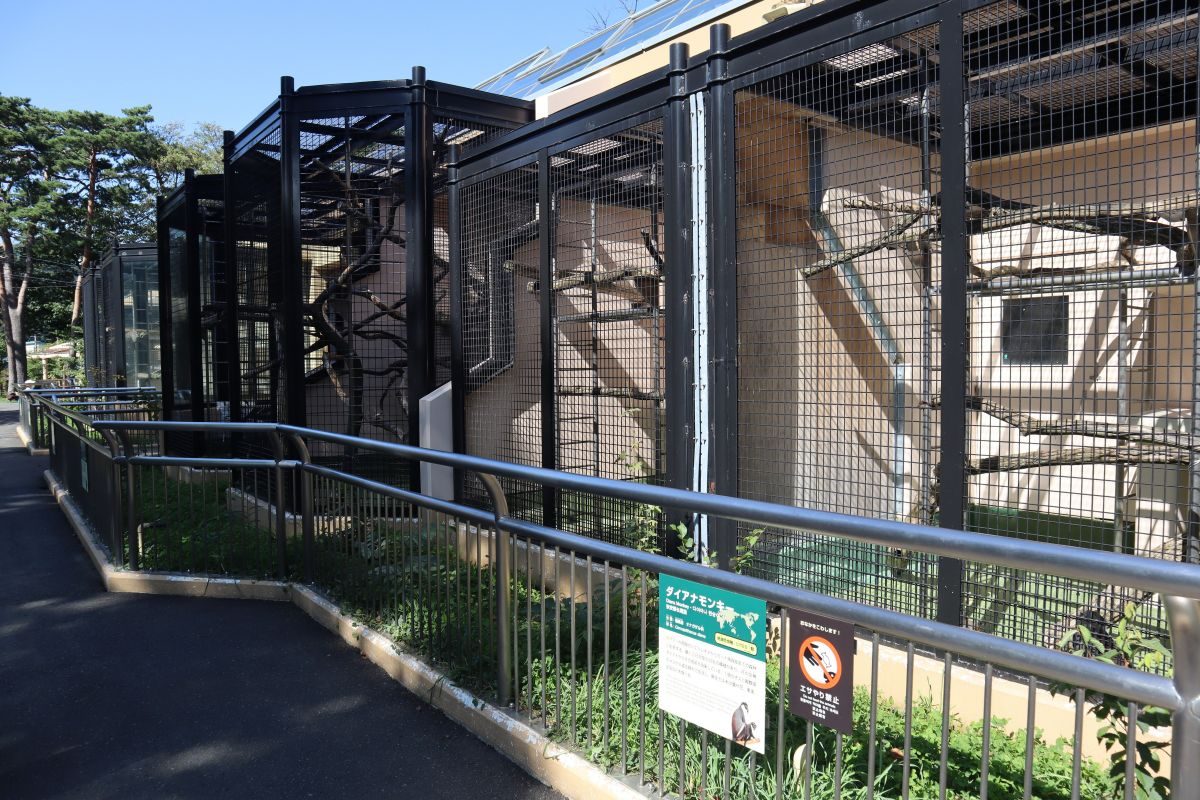 話題のモンキーハウスとは？噂の真相と元ネタ・歴史の全貌を徹底追跡
