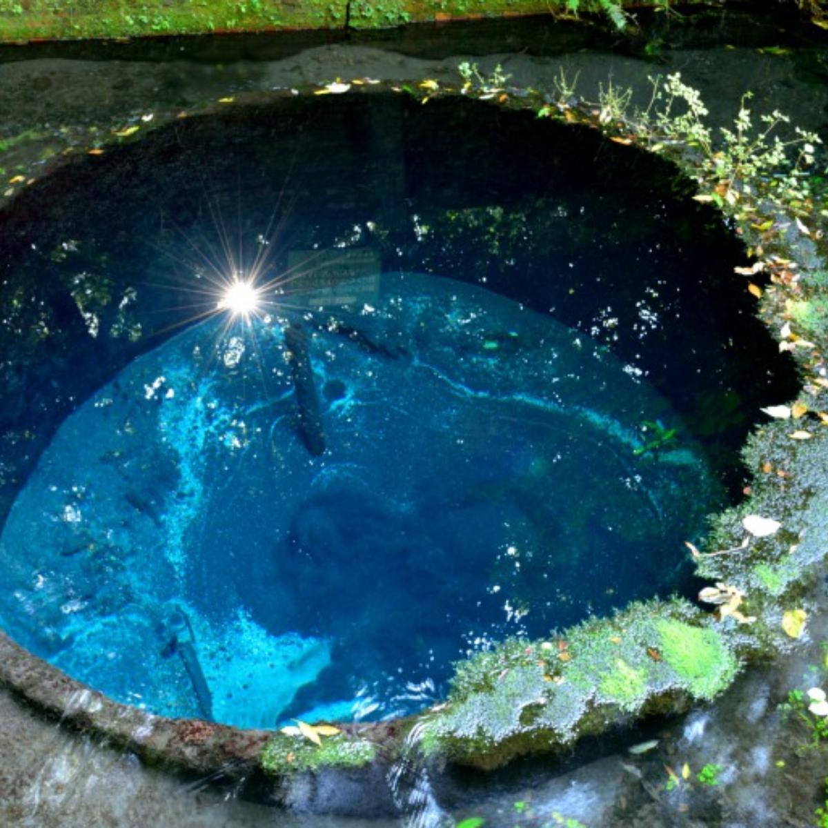 なぜ青く輝く？柿田川公園の神秘的な湧水の秘密と見どころを徹底解説