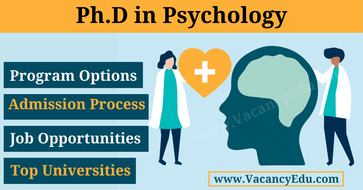 What Can You Do with a Phd in Psychology
