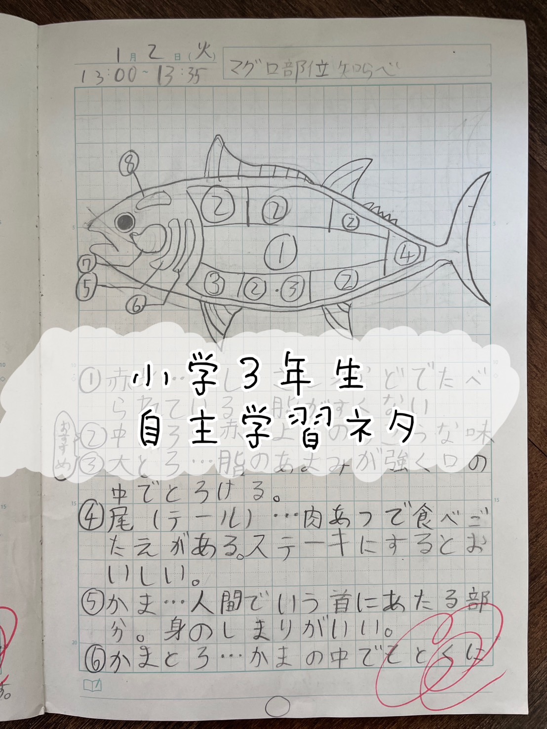 自主勉強ネタ2026！10分で完成し先生が高評価する自学ノート術