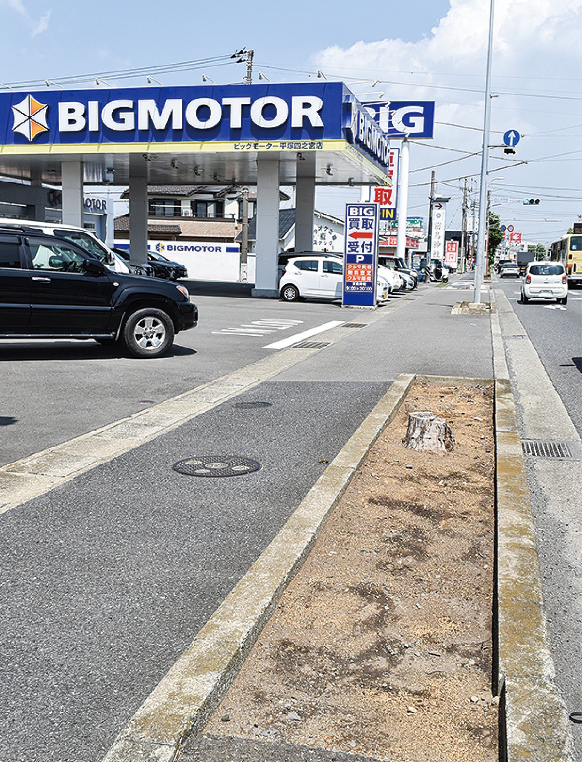 ビッグモーター街路樹問題の真相｜除草剤散布の理由と現在の原状回復