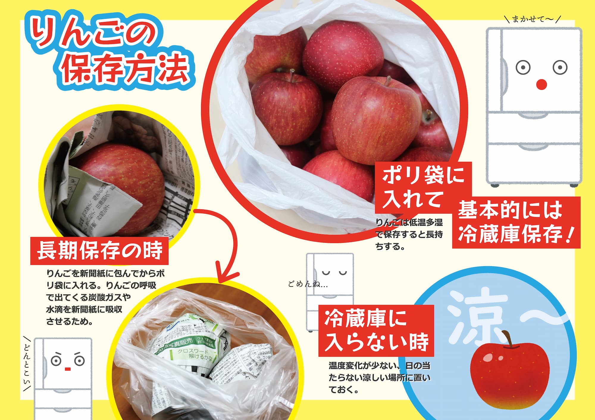 りんごの保存方法完全版！スカスカを防ぎ1ヶ月長持ちさせる技