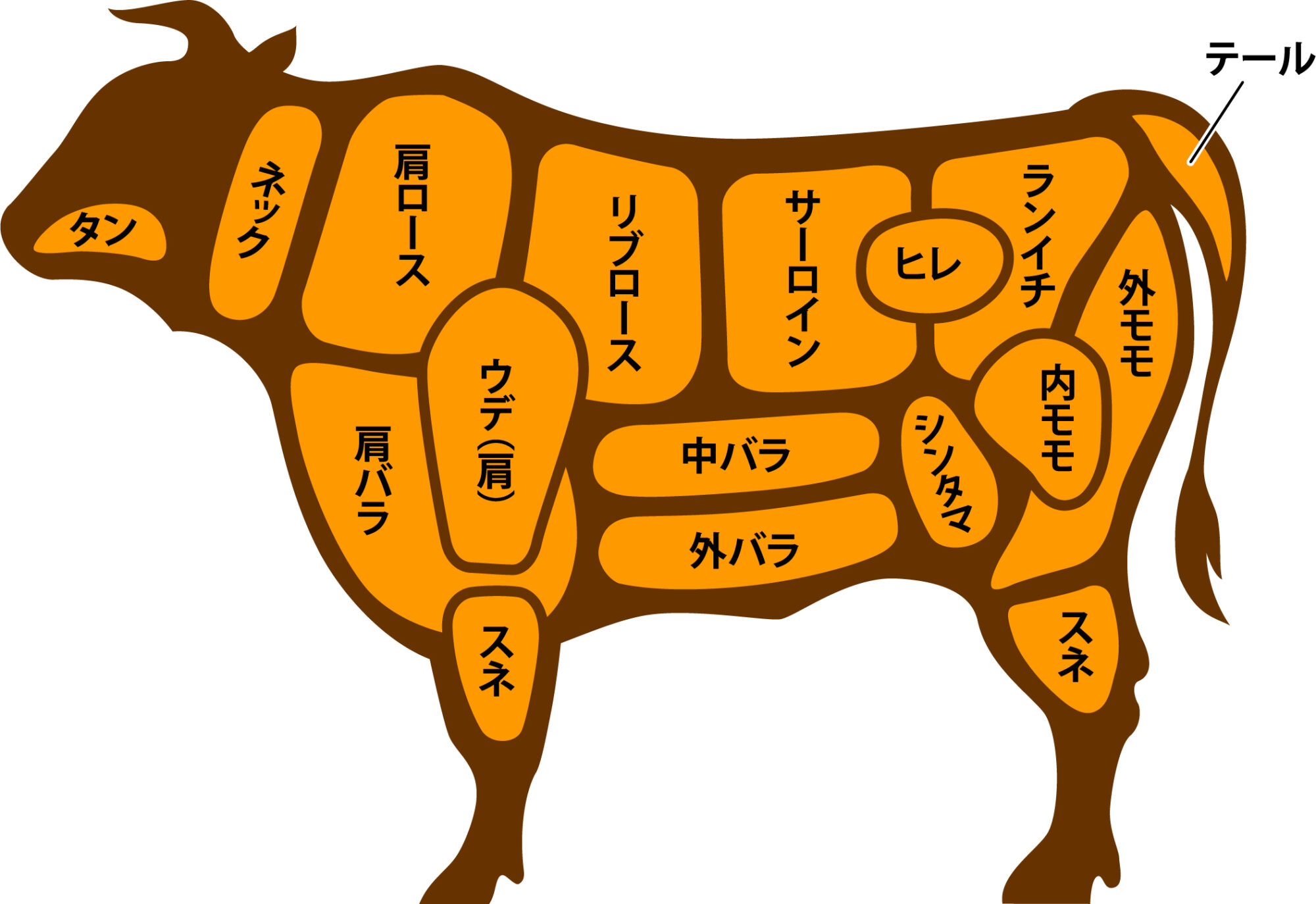 胃が4つある理由とは？牛の驚きの生態と部位・雑学の真相を徹底解説