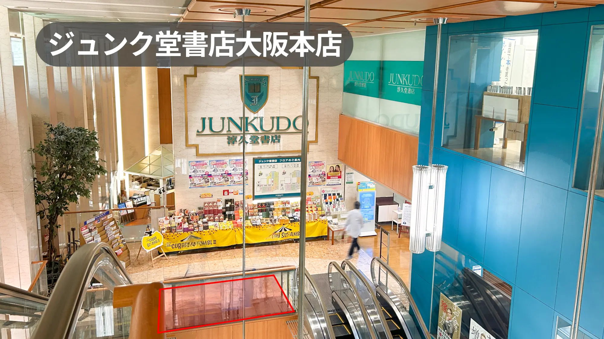 ジュンク堂書店大阪本店の魅力と梅田店との違いを徹底解剖
