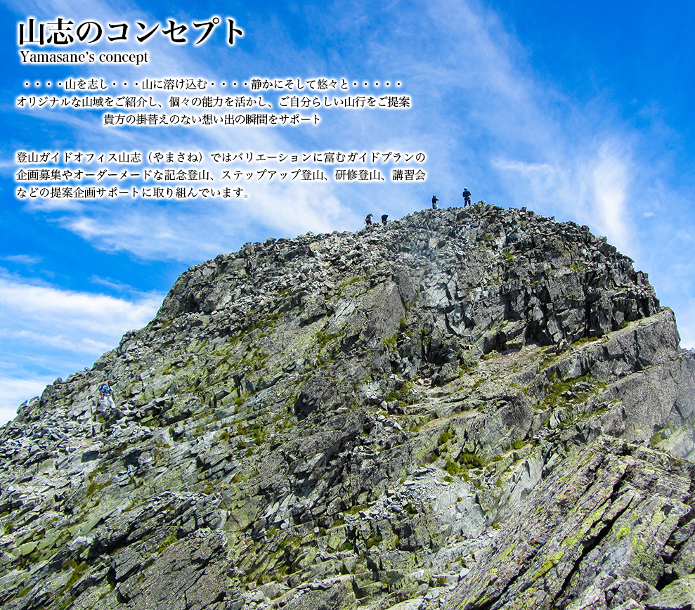 Sns沸騰の「山志」の評判と噂の真相！メニューや混雑・2026年最新事情