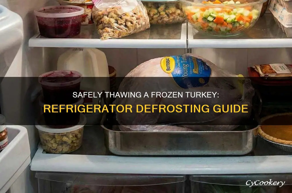 Frozen Turkey Defrost in Fridge