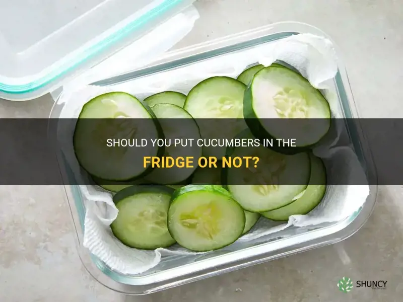 Should You Put Cucumbers in the Refrigerator