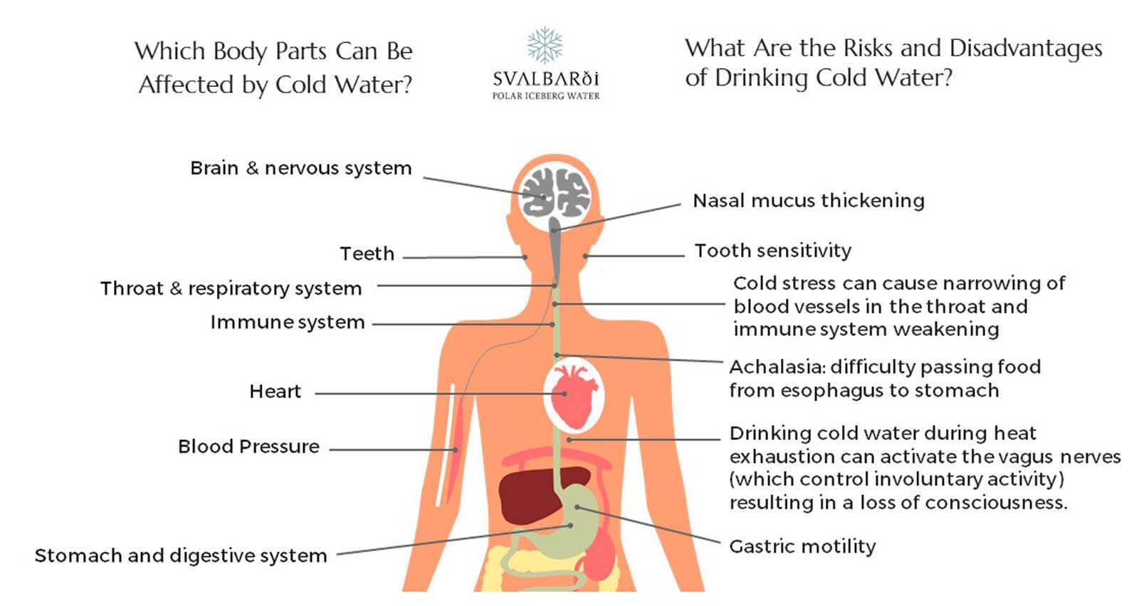 Why Is It Bad to Drink Cold Water