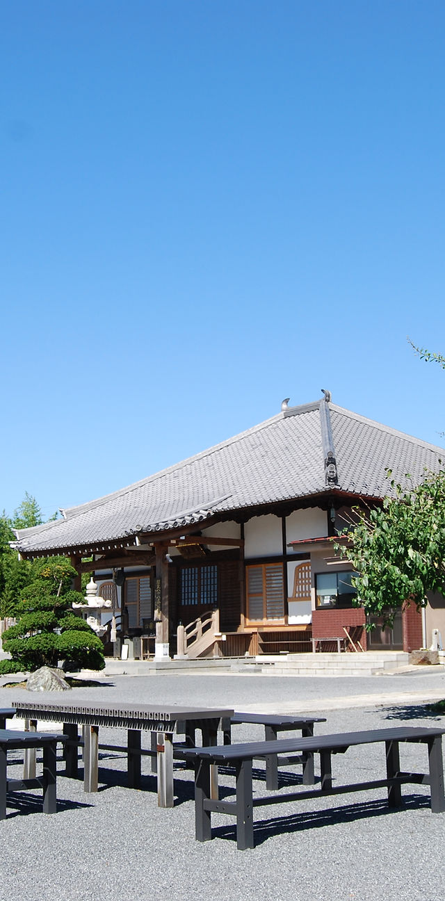 グリーンメモリアル川島の評判と費用｜樹木葬・永代供養の真相と注意点