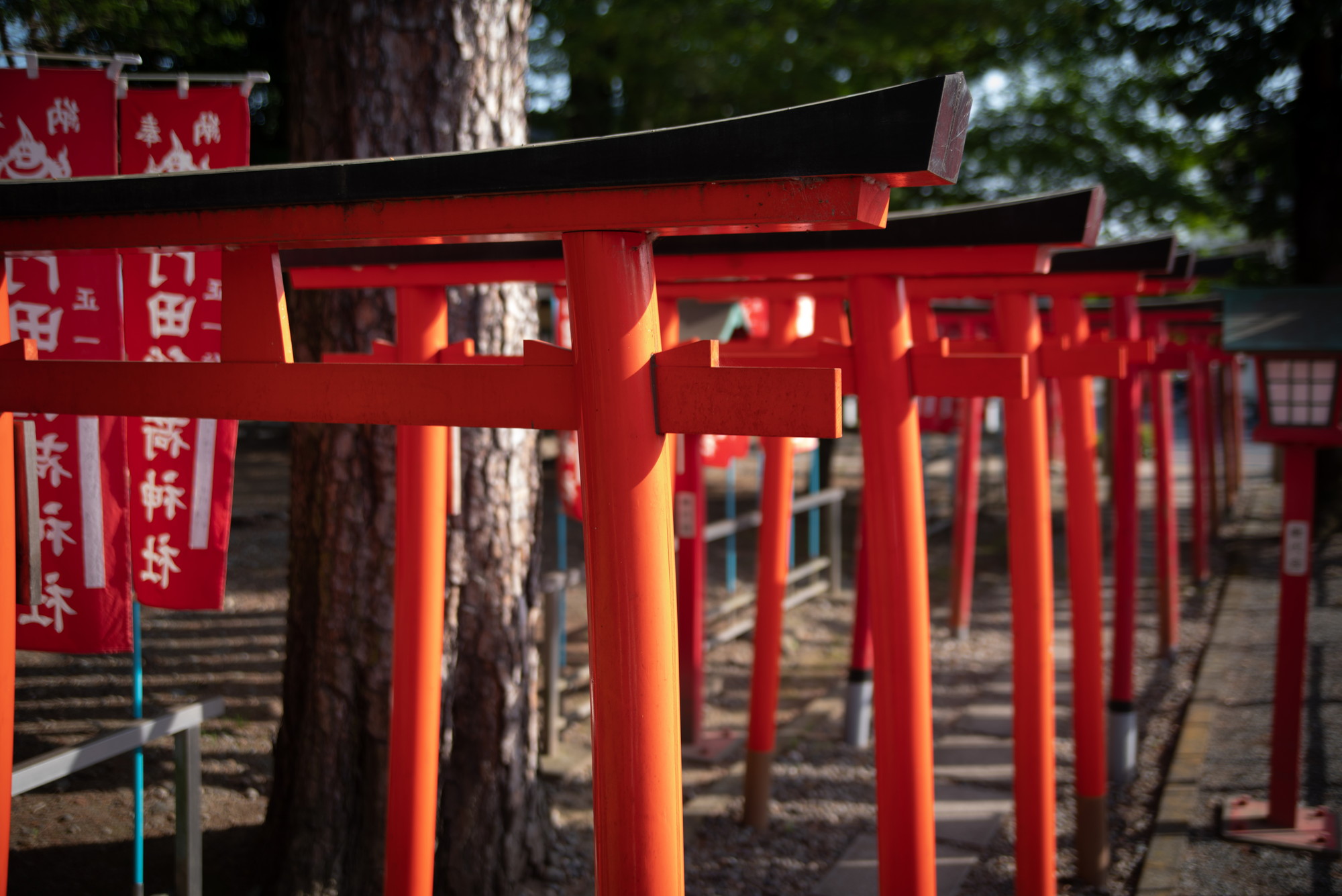 門田稲荷神社の縁切り効果と怖い噂を検証！正しい参拝と絵馬の真実