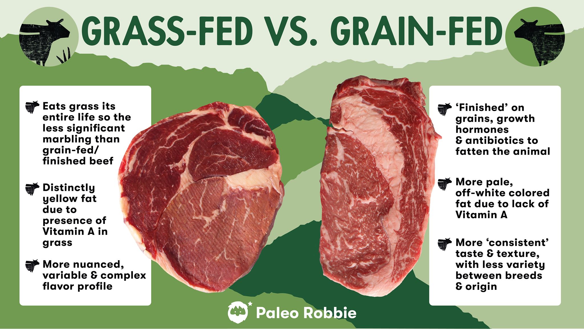 Why Does Grass Fed Beef Taste Bad