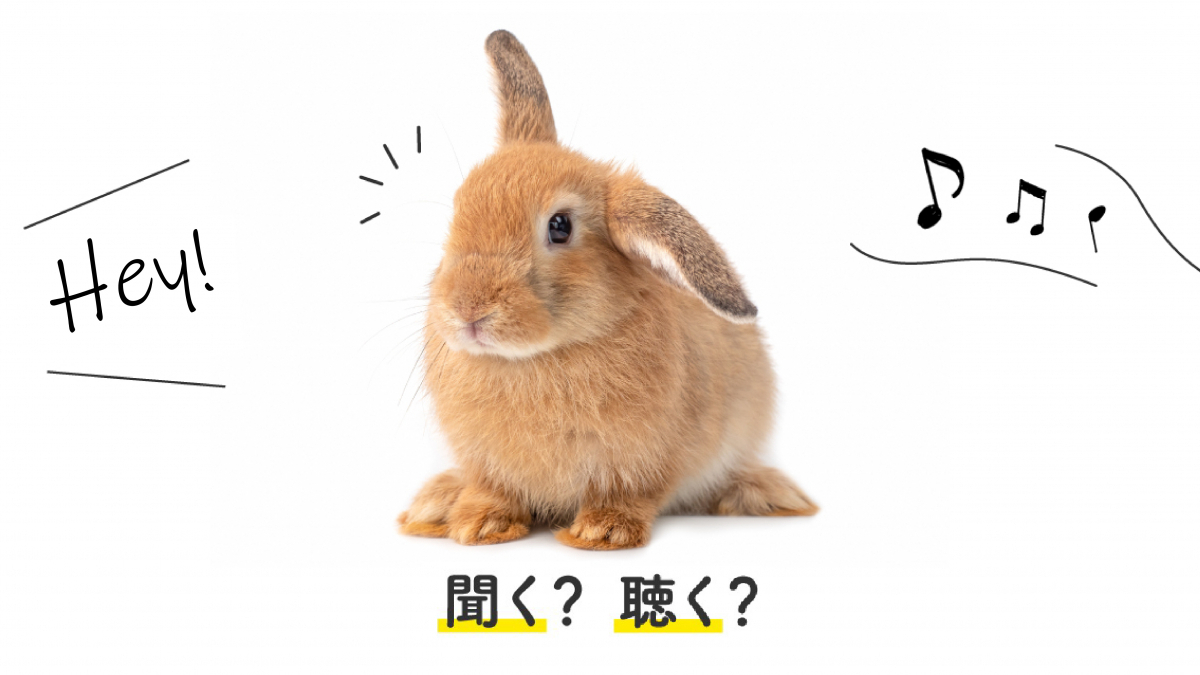 「聴く」の英語表現決定版！ListenとHearの違いから傾聴術