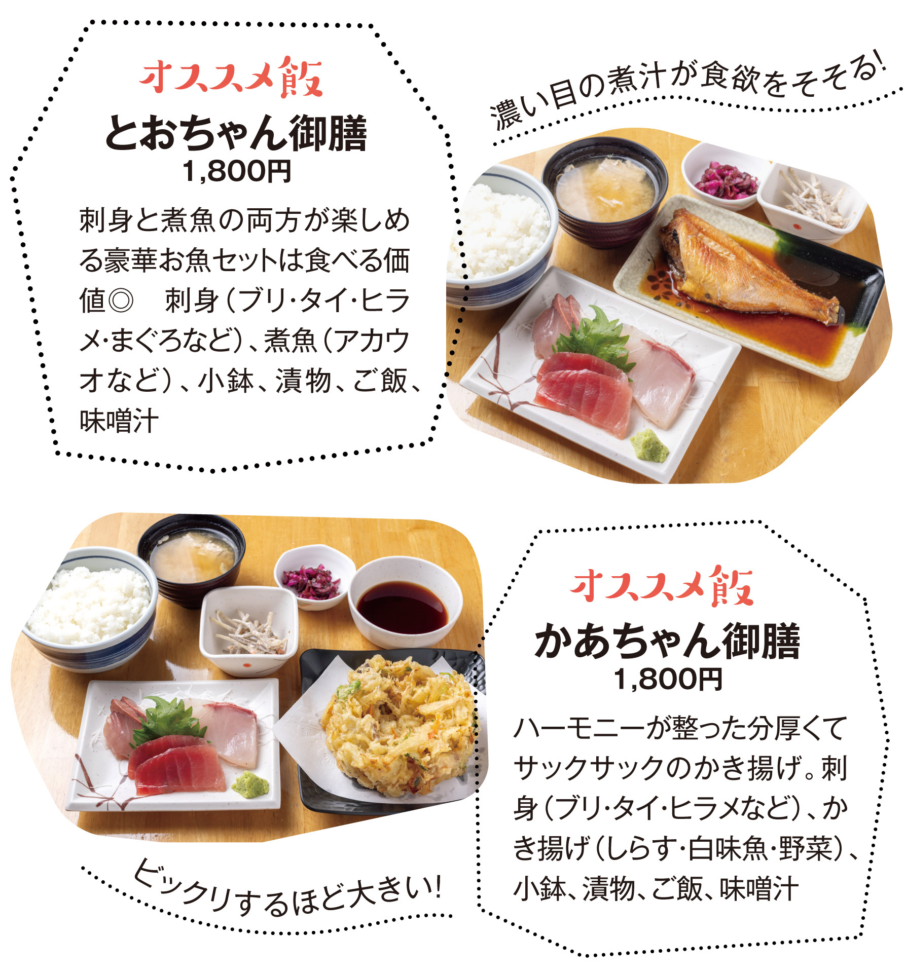 大洗かあちゃんの店完全攻略！生しらす丼と混雑回避の全貌