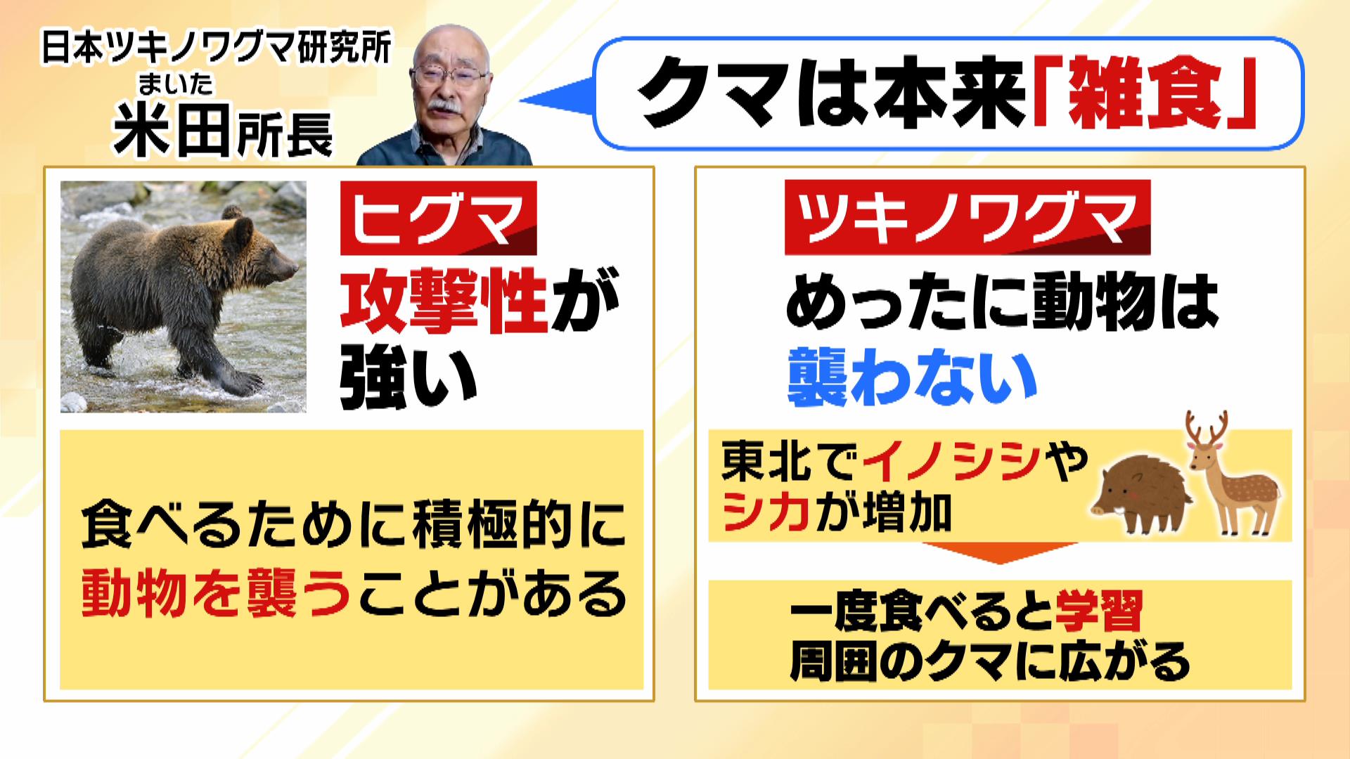 熊は人を食べるのか？野生動物生態学と最新データが明かす真実