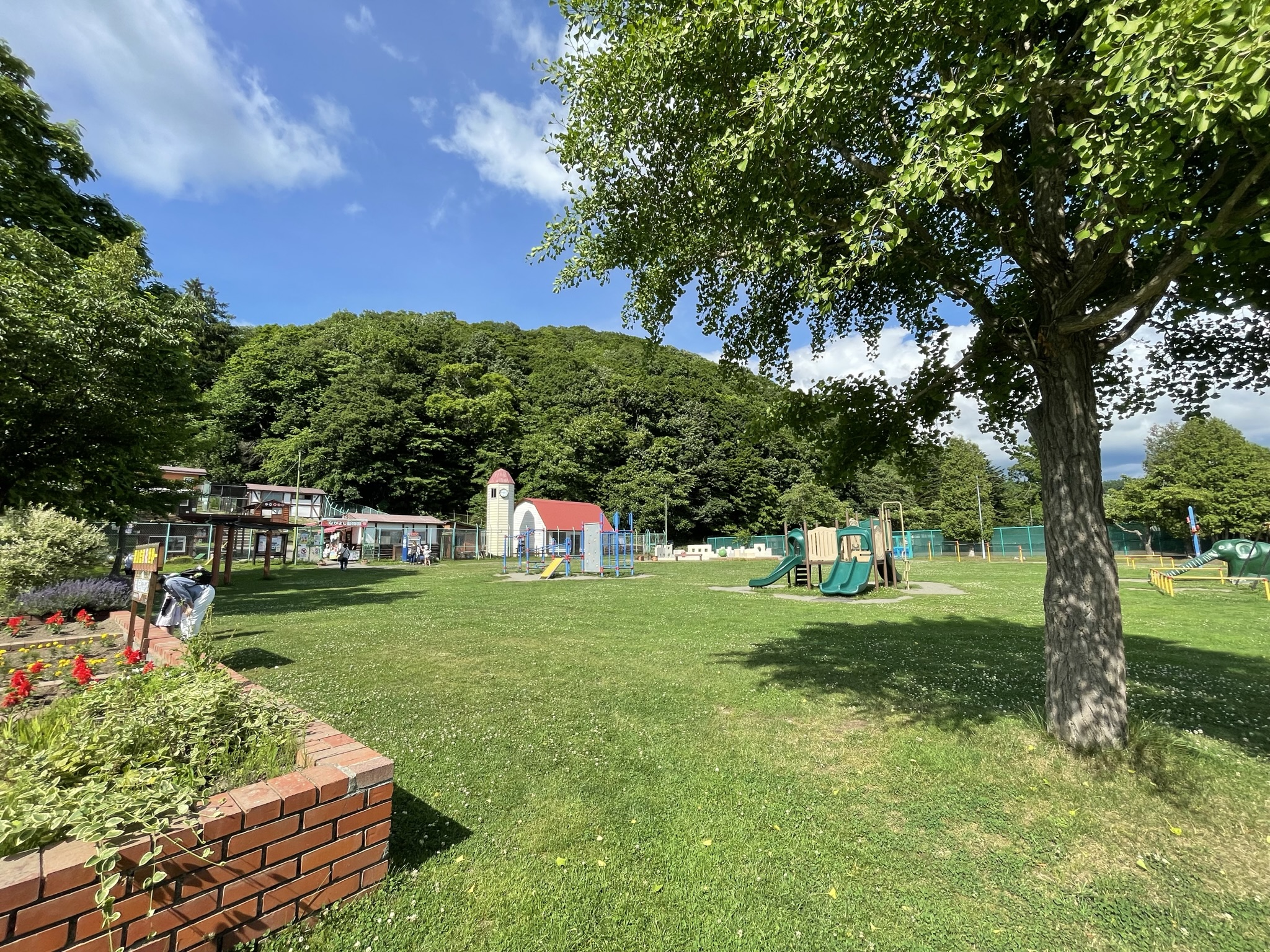無料動物園と桜の名所！2026年栗山公園の混雑攻略と見どころ