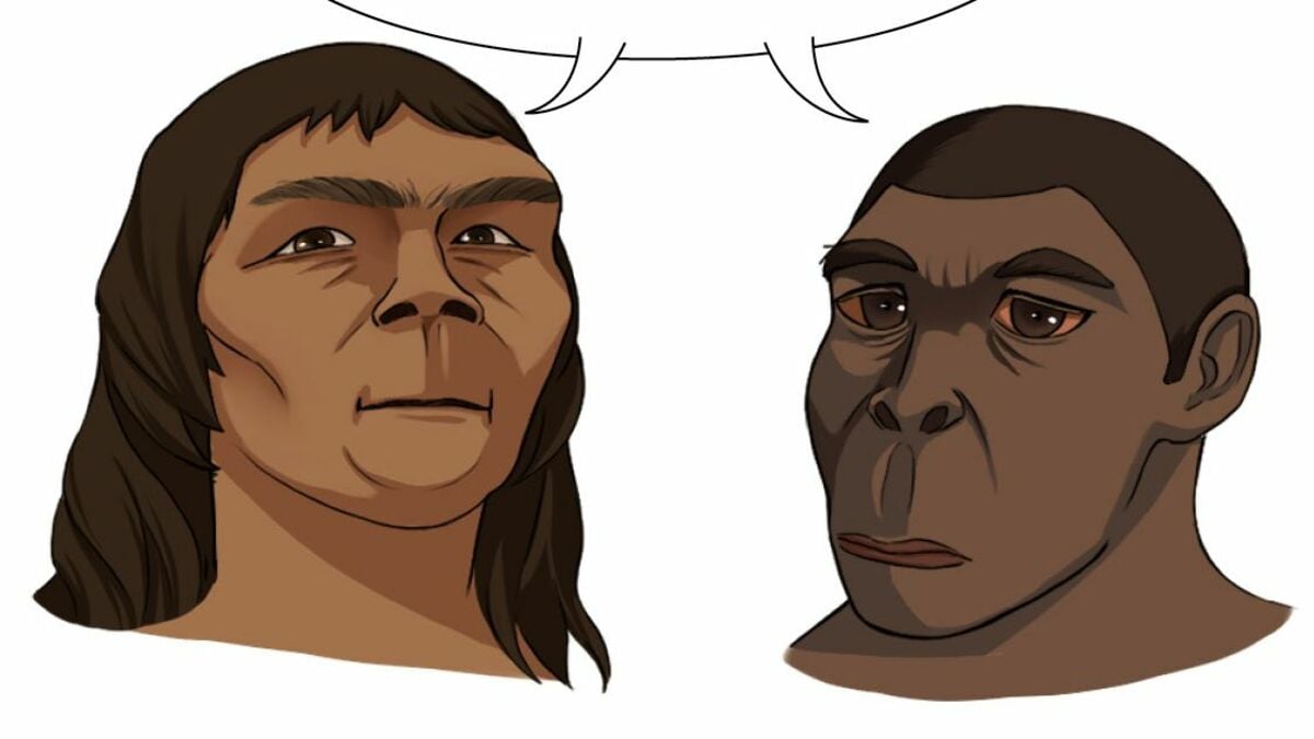 最古の人類はサヘラントロプス？700万年前の真実に衝撃