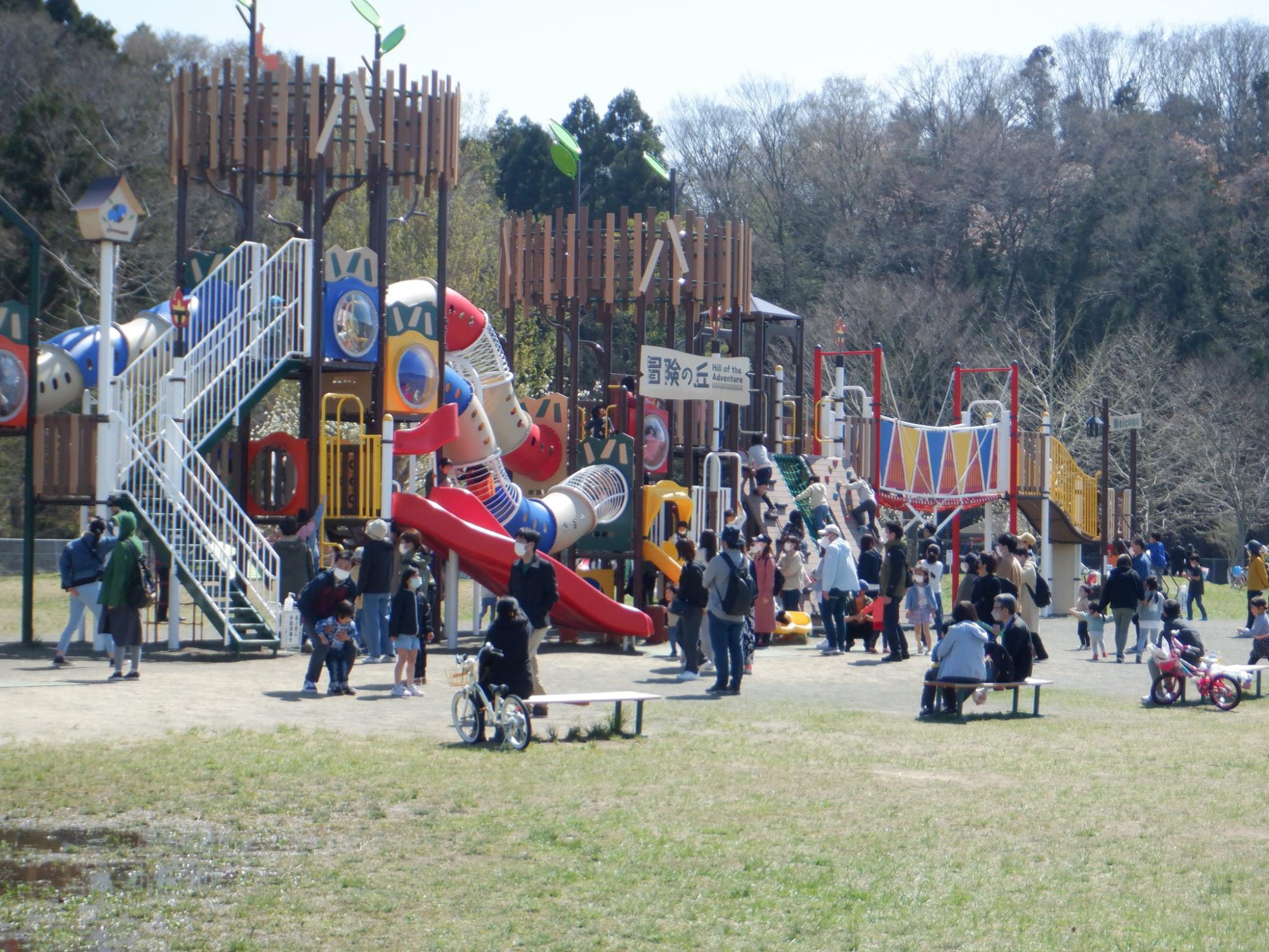 モリリン加瀬沼公園Bbq＆混雑攻略！予約不要エリアと遊具の全貌