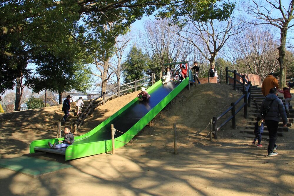 柏の葉公園の混雑を回避する裏技！穴場駐車場とＢｂｑ攻略の全貌
