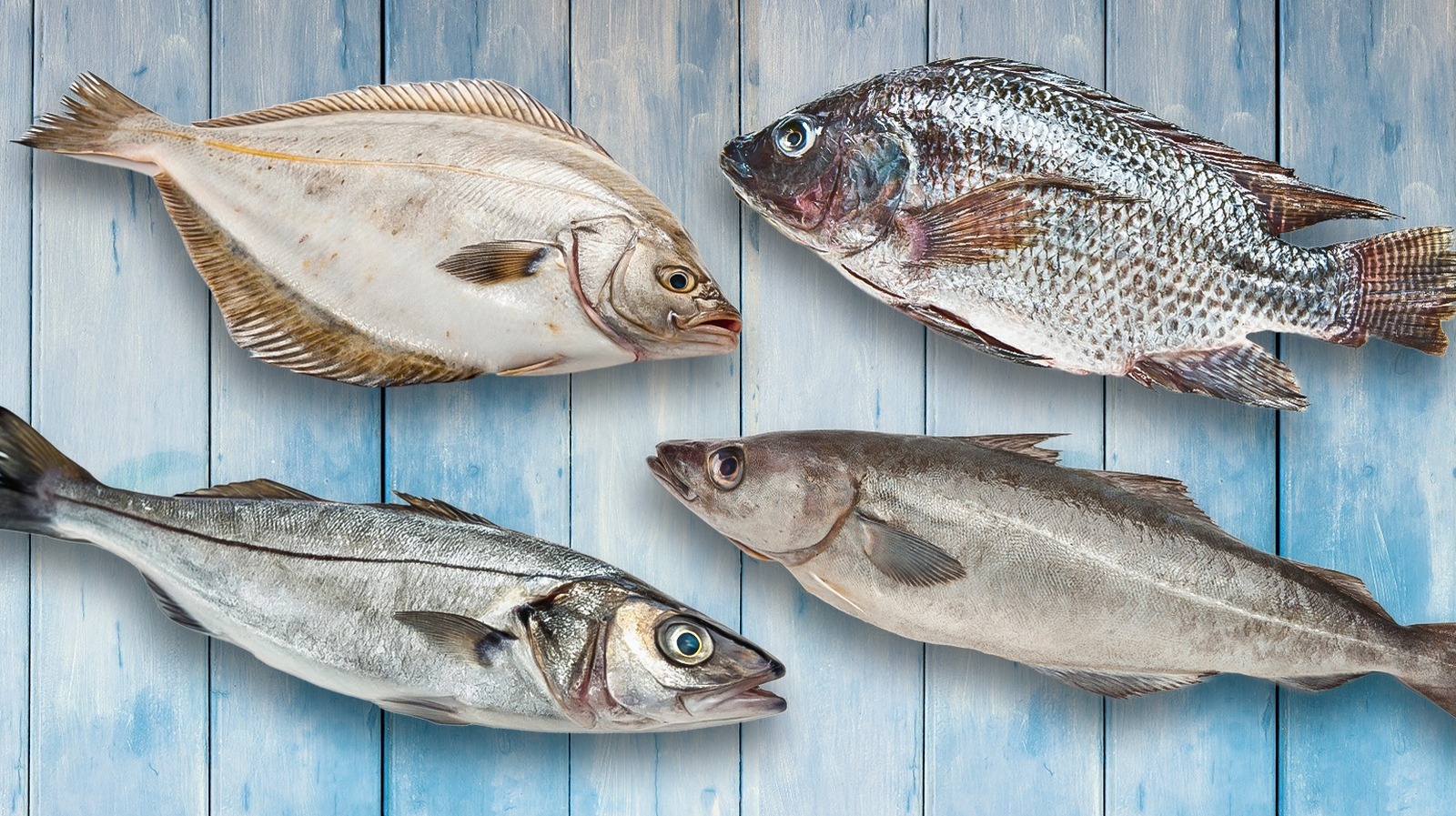 Types of Firm White Fish