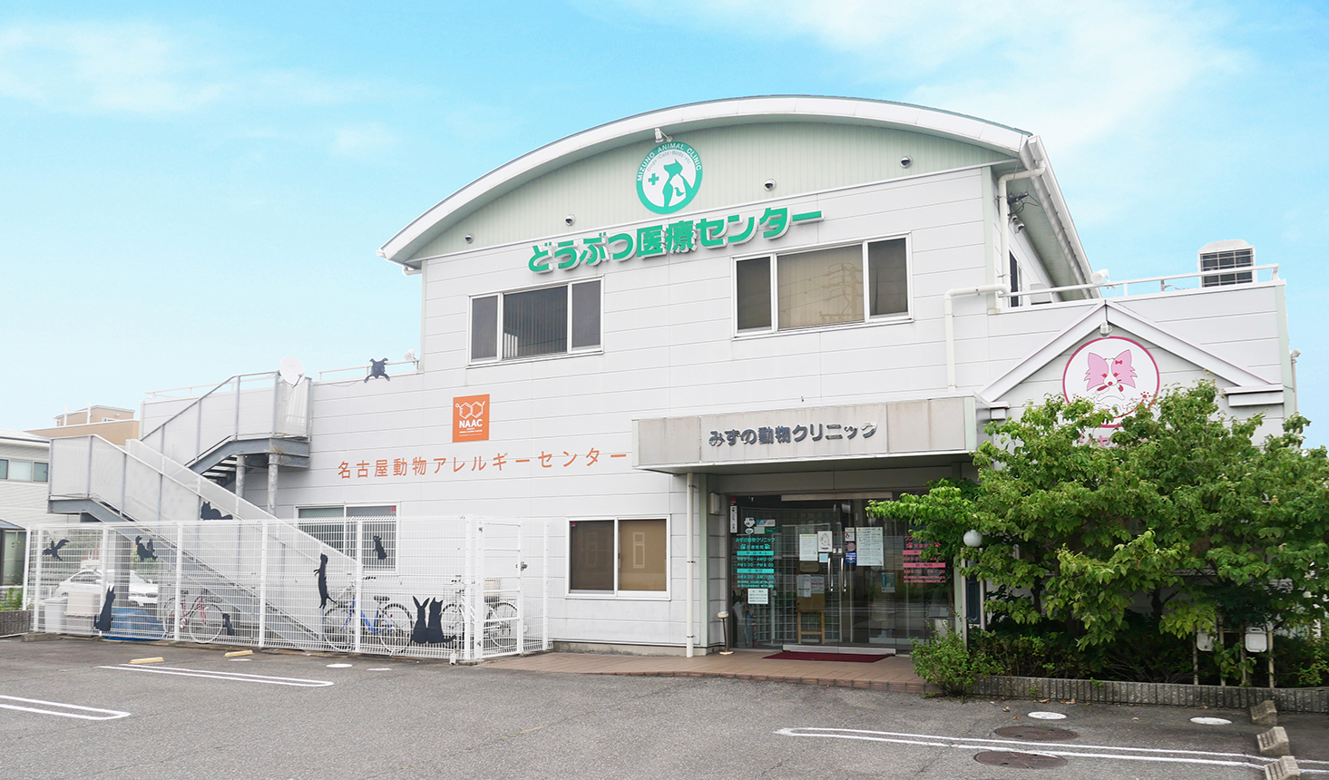 ミズノ動物クリニックの評判と口コミ｜料金・診療時間・予約まで徹底解説