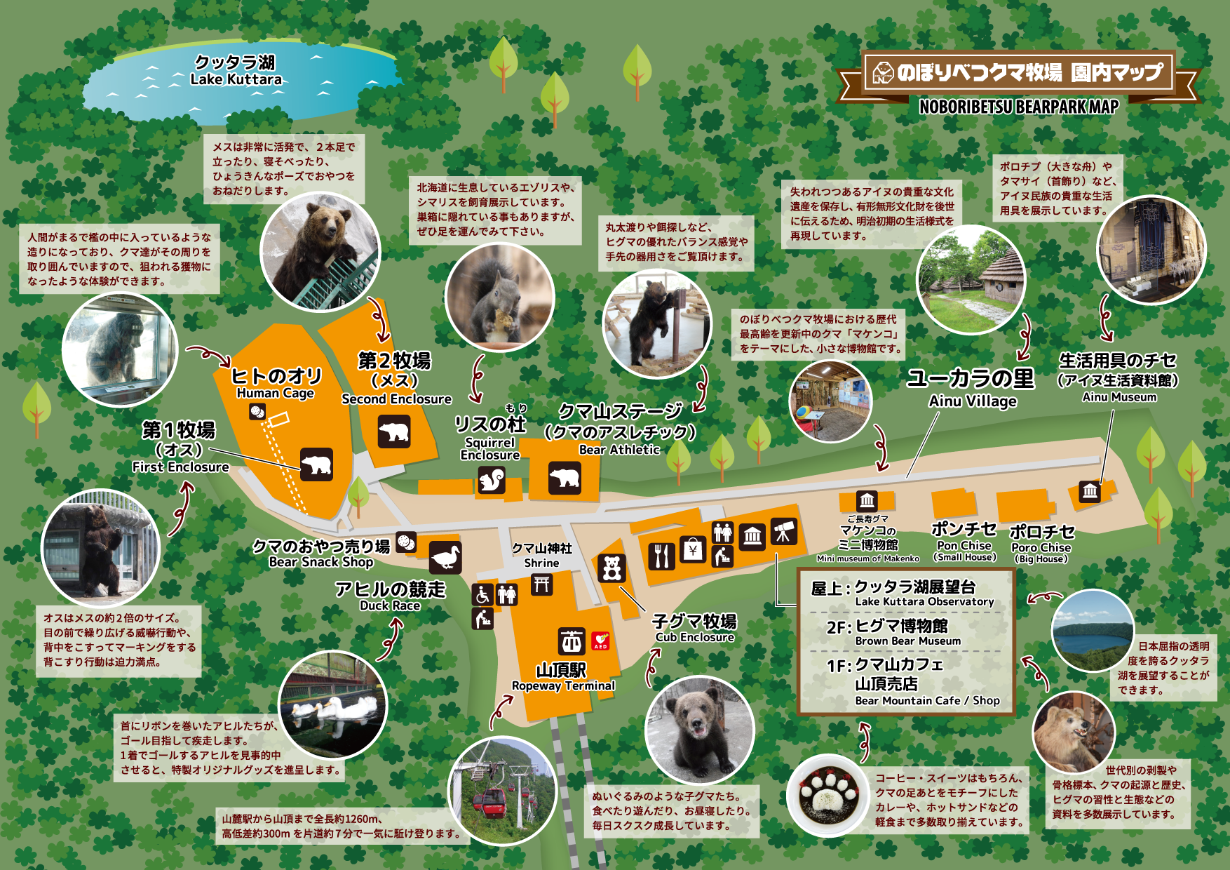 のぼりべつクマ牧場を120％楽しむ完全攻略法【2026最新】