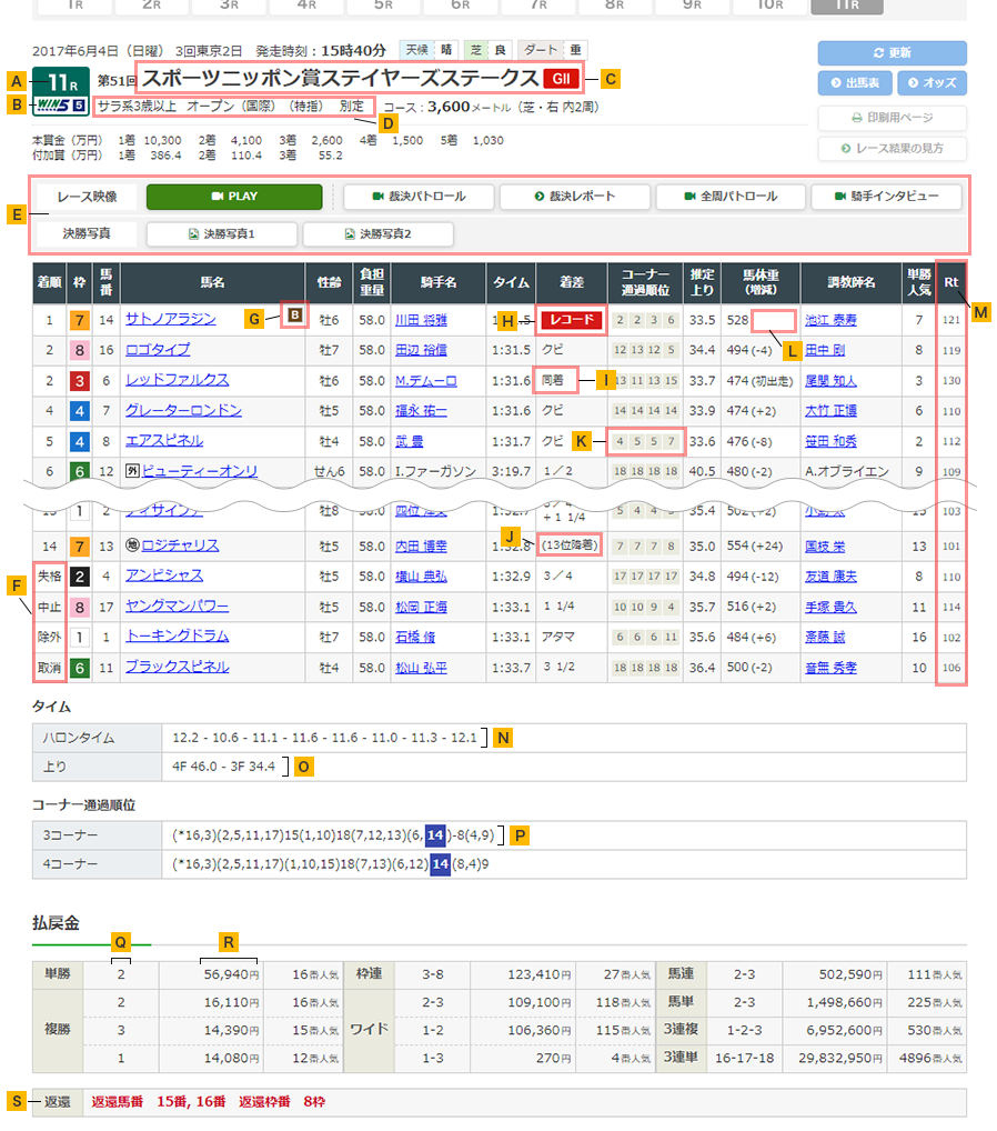 地方競馬レース結果【速報】なぜ大穴が激走？高配当の真相を徹底解説