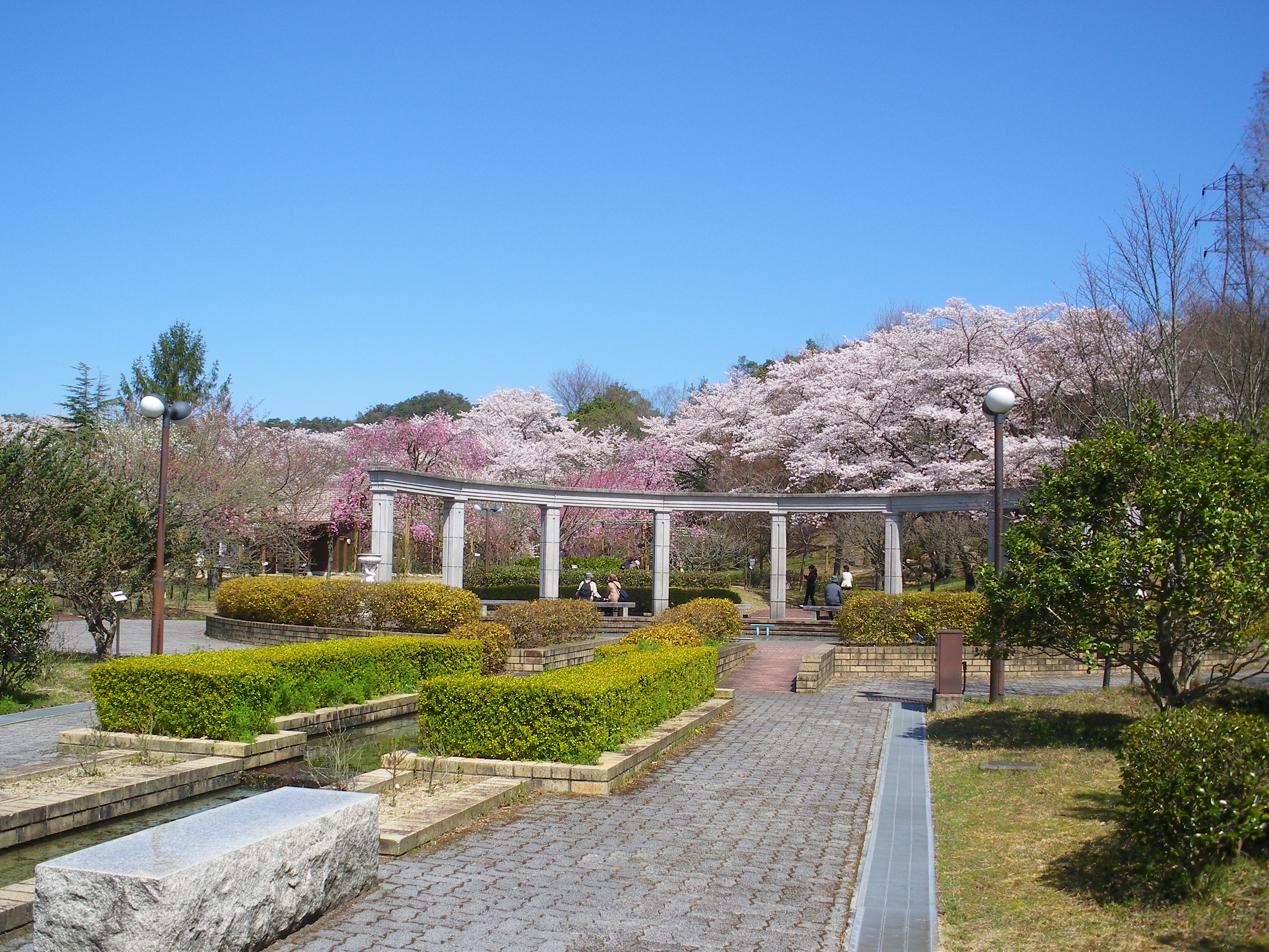 近江富士花緑公園はなぜ家族に選ばれる？遊具の混雑・Bbq・宿泊まで徹底解説
