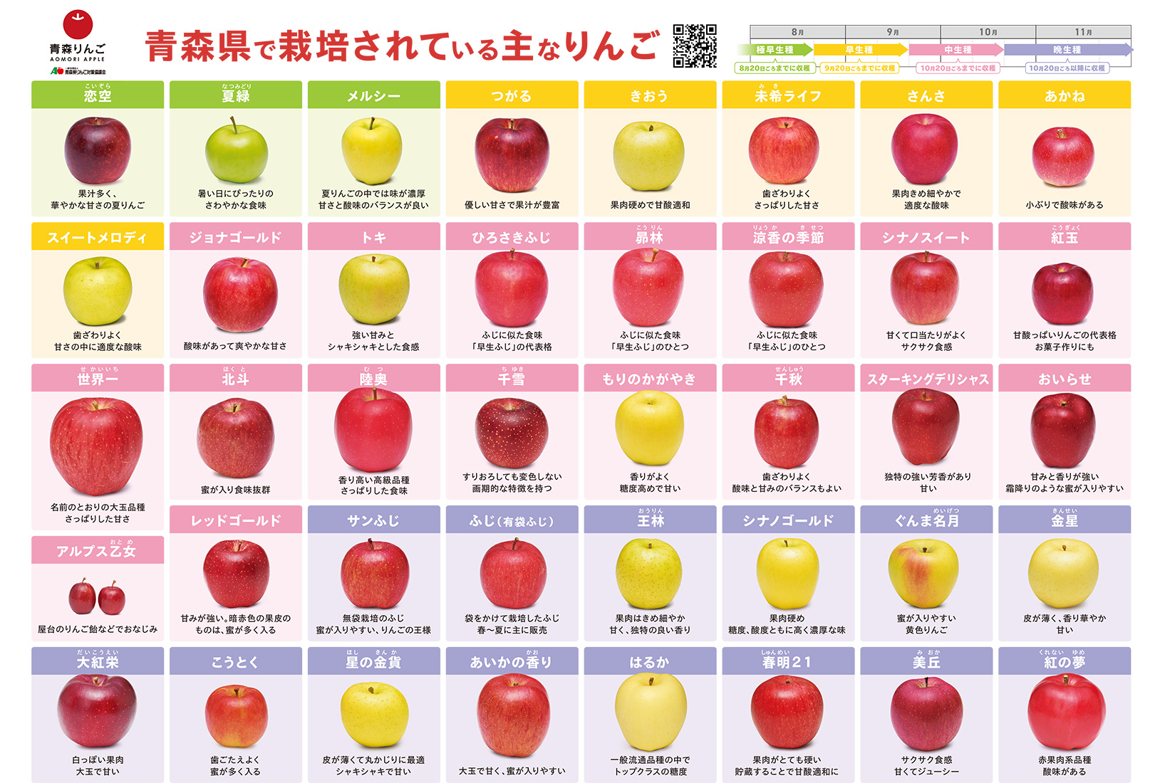 忍たま話題の爆速りんごレンジ調理法！3分で化ける秘伝レシピ